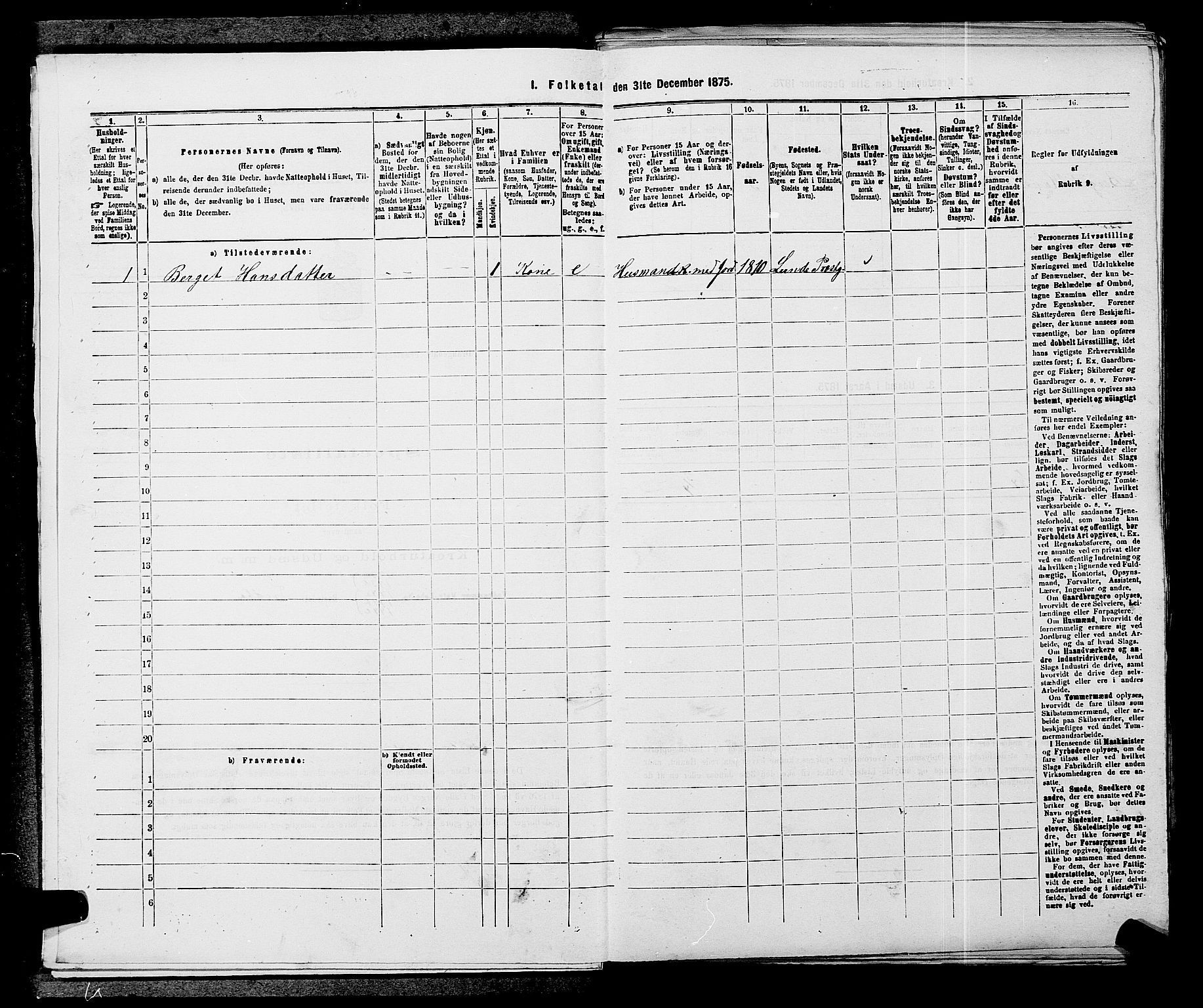 SAKO, 1875 census for 0817P Drangedal, 1875, p. 675