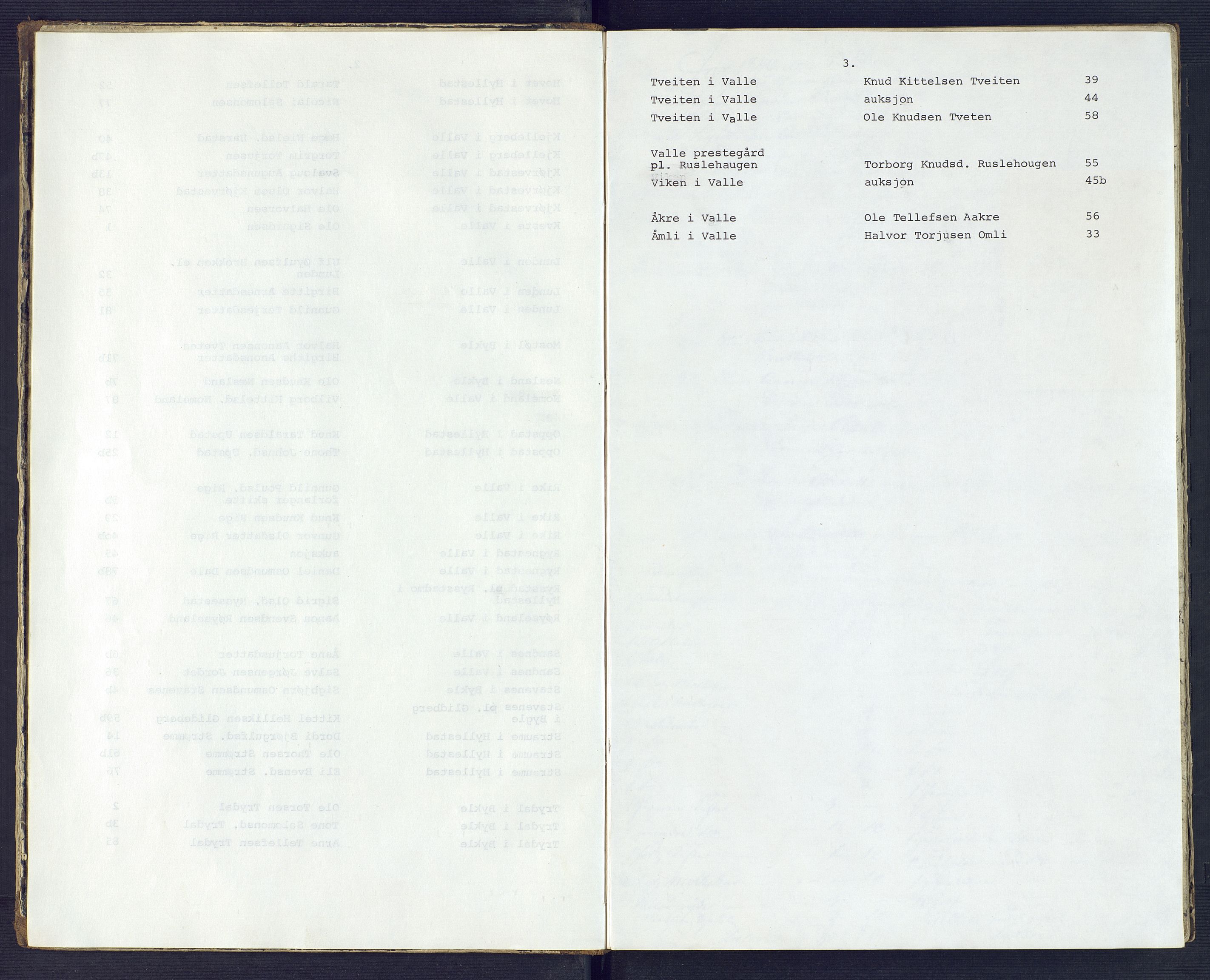 Setesdal sorenskriveri, SAK/1221-0011/H/Hc/L0025: Skifteregistreringsprotokoll nr 1 Valle tinglag med register, 1846-1861, p. 3