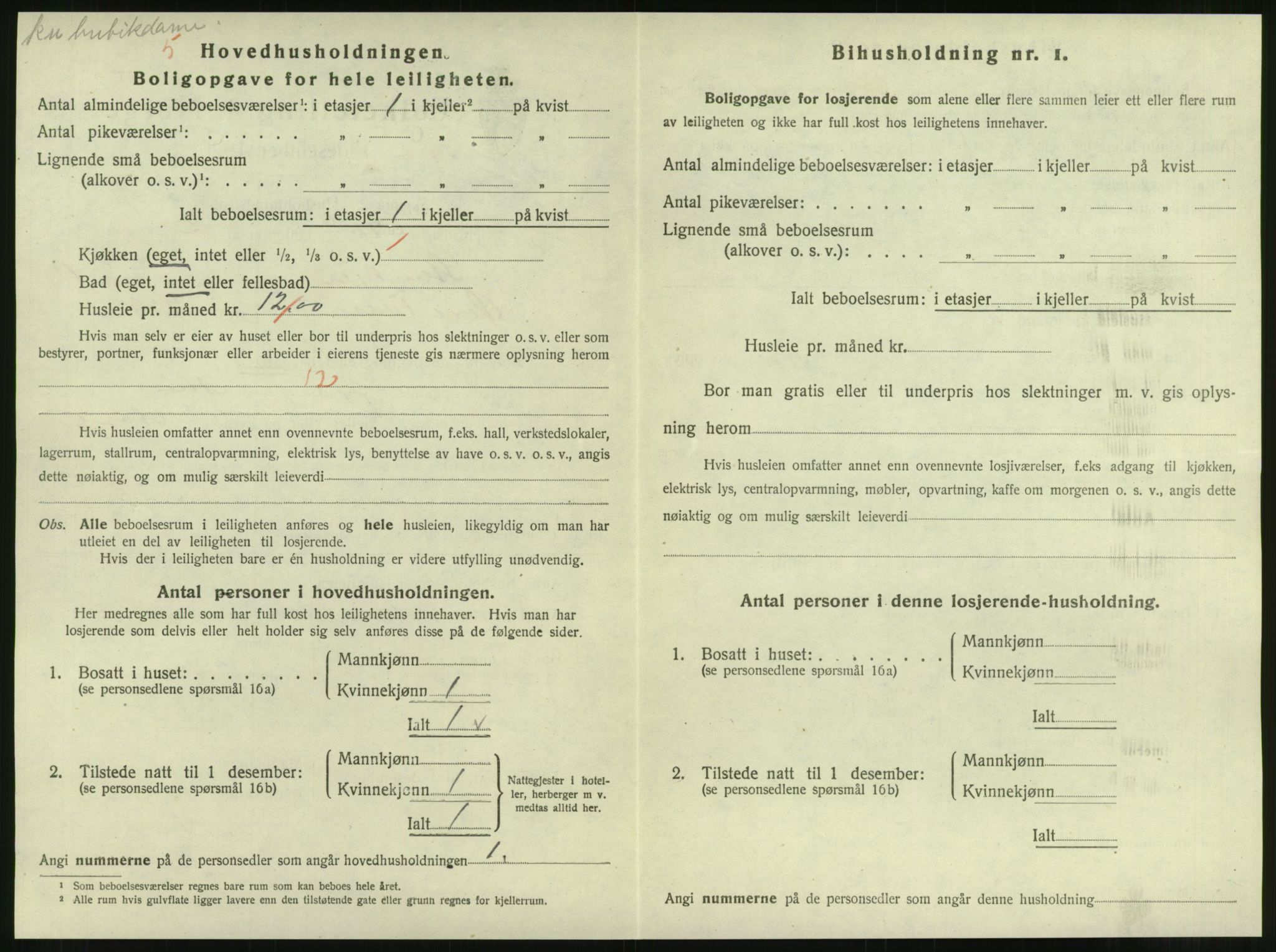 SAT, 1920 census for Steinkjer, 1920, p. 1359