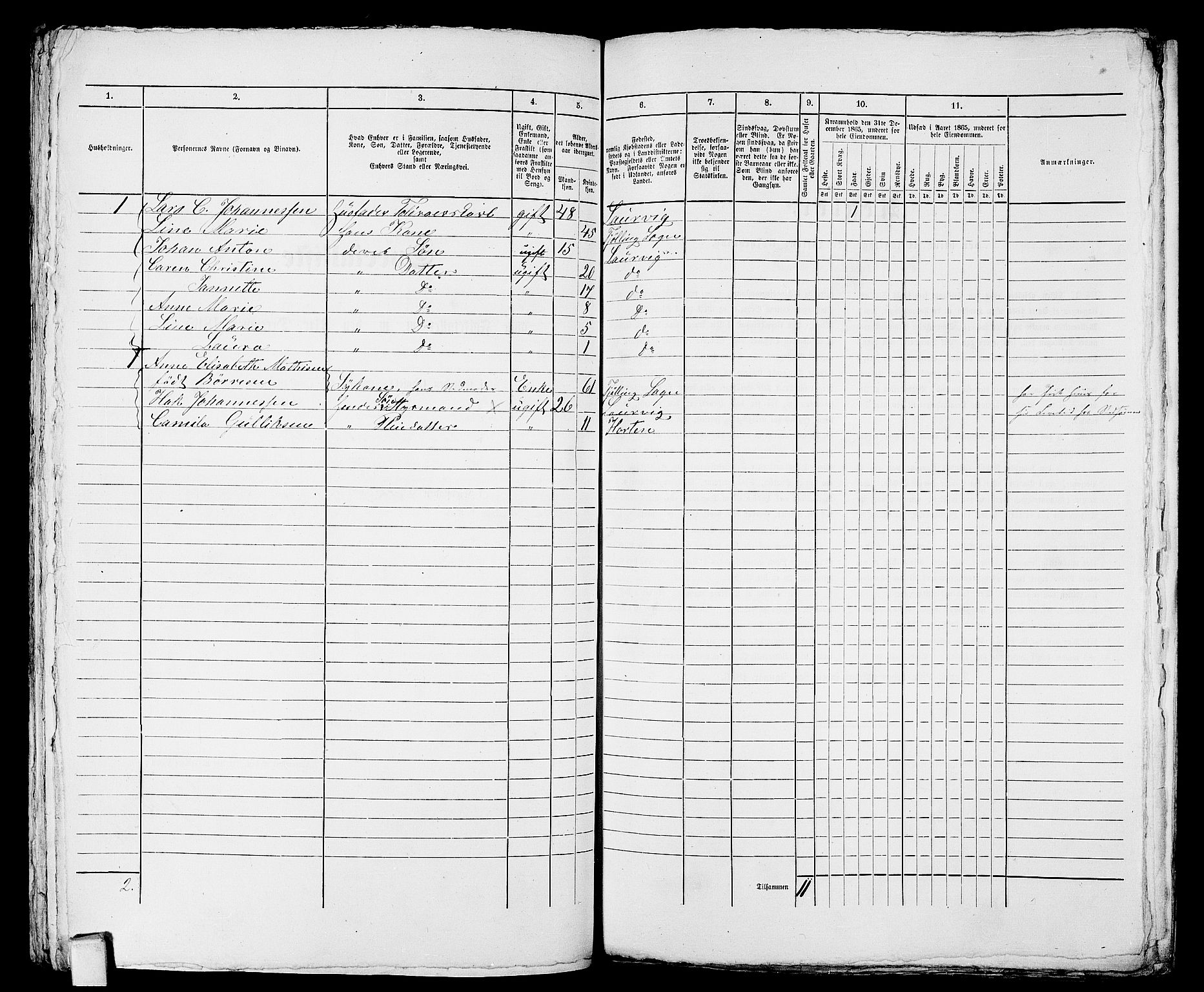 RA, 1865 census for Larvik, 1865, p. 873