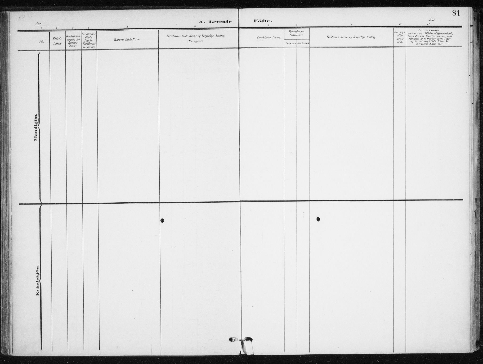 Salangen sokneprestembete, AV/SATØ-S-1324/H/Ha/L0002kirke: Parish register (official) no. 2, 1902-1911, p. 81