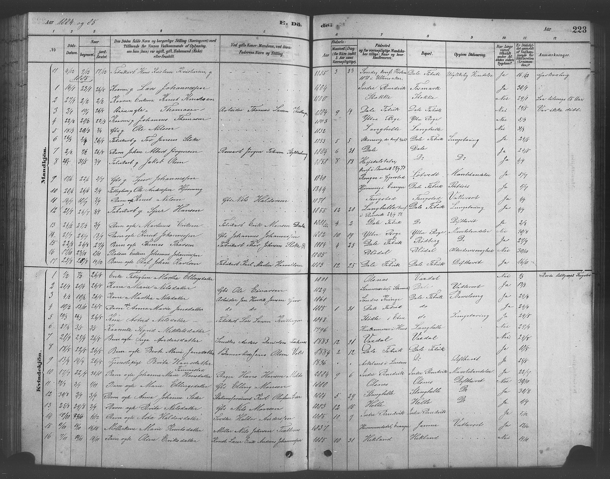 Bruvik Sokneprestembete, SAB/A-74701/H/Hab: Parish register (copy) no. A 1, 1878-1907, p. 223