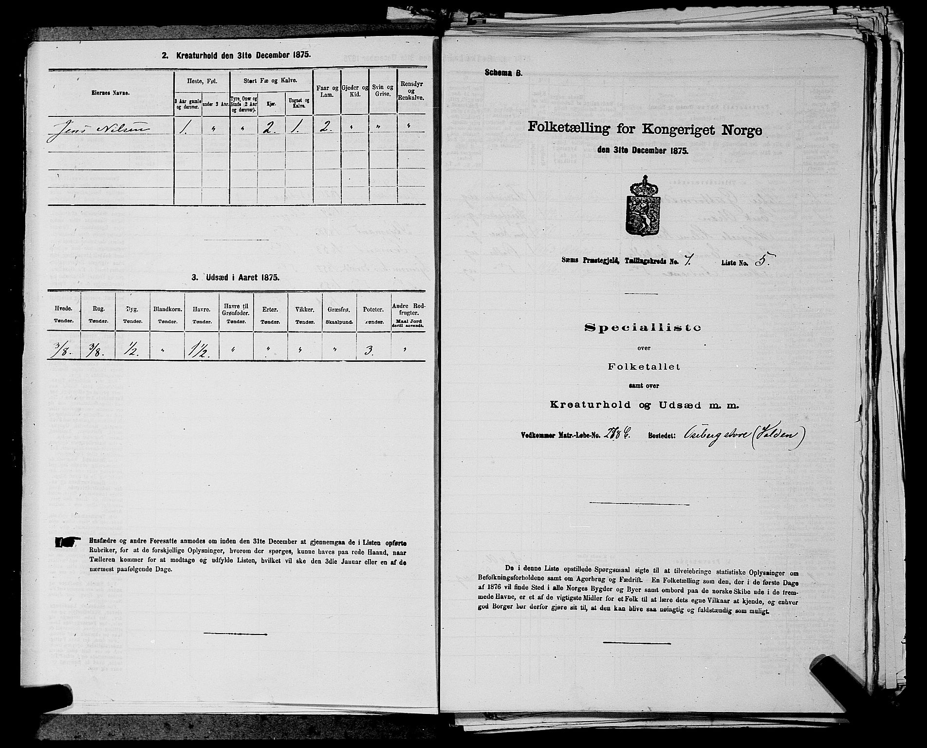 SAKO, 1875 census for 0721P Sem, 1875, p. 1141
