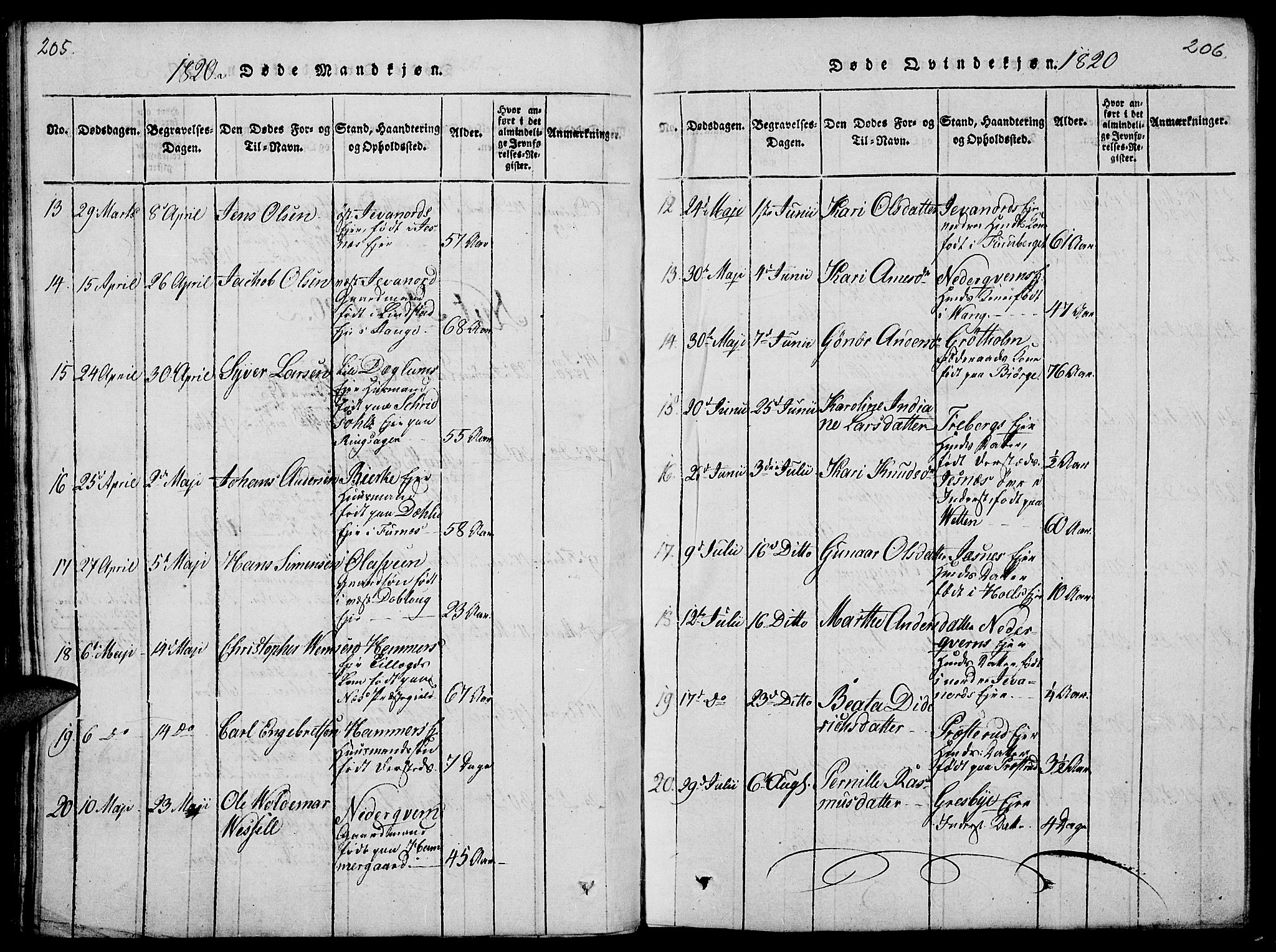 Vang prestekontor, Hedmark, SAH/PREST-008/H/Ha/Haa/L0008: Parish register (official) no. 8, 1815-1826, p. 205-206