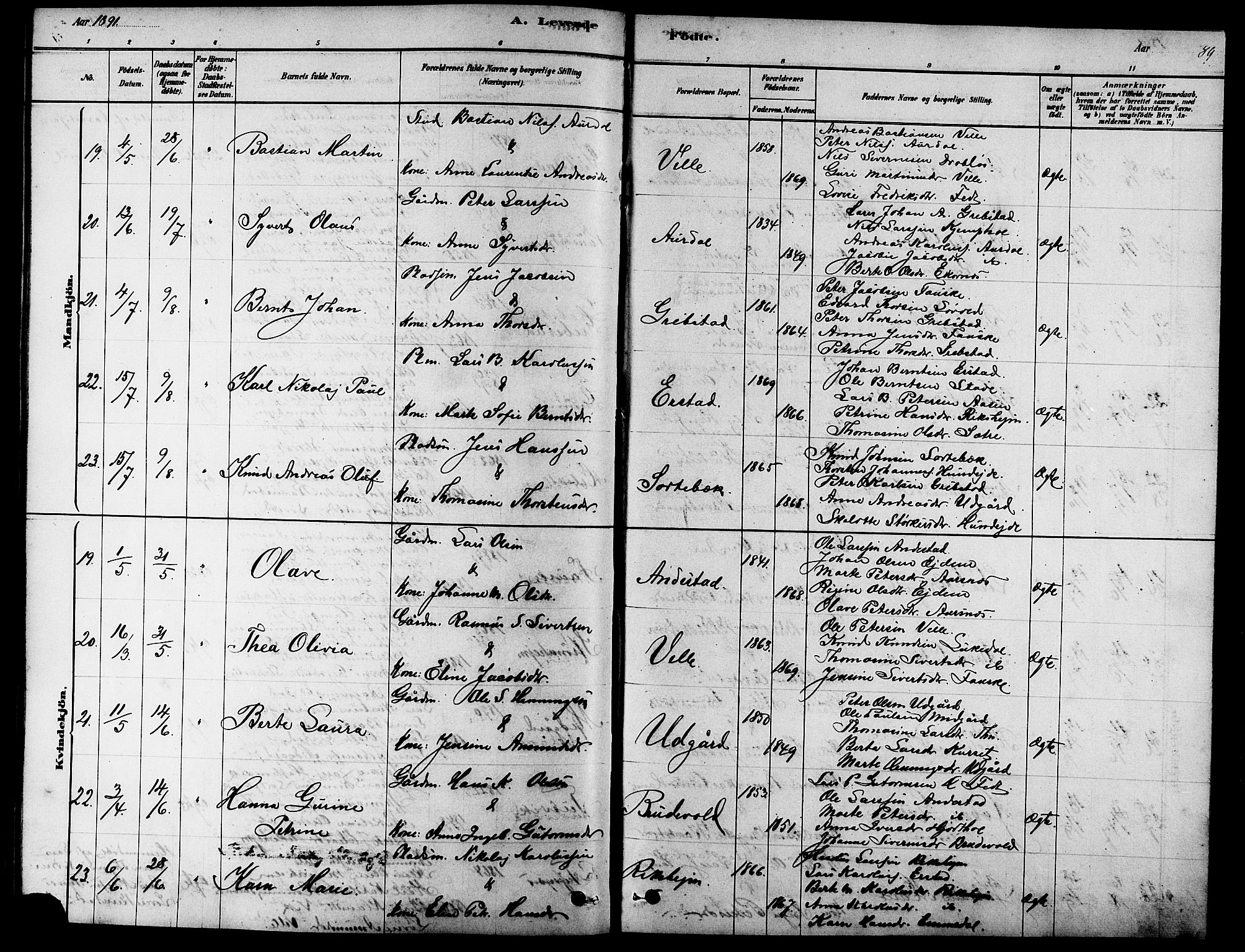 Ministerialprotokoller, klokkerbøker og fødselsregistre - Møre og Romsdal, AV/SAT-A-1454/523/L0339: Parish register (copy) no. 523C02, 1878-1891, p. 89