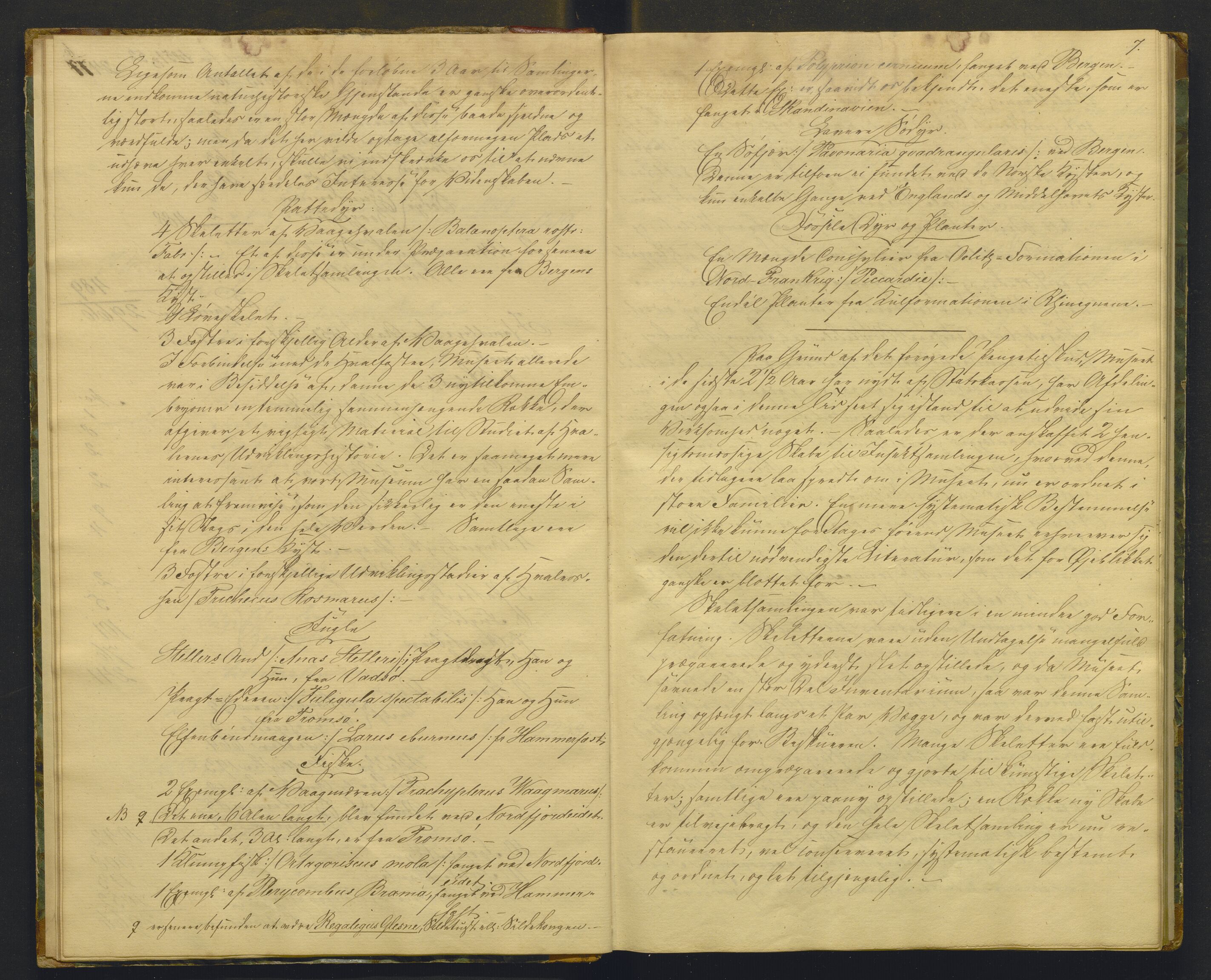 Bergens Museum, AV/SAB-A-17301/08/A/L0001: Forhandlingsprotokoll , 1852-1900, p. 6b-7a