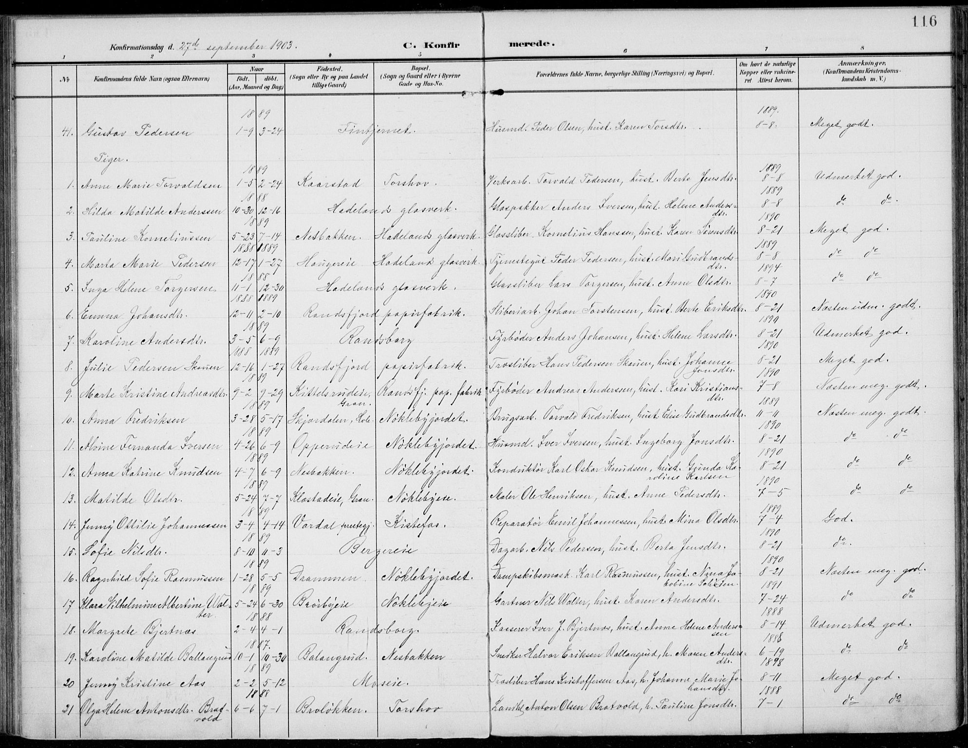 Jevnaker prestekontor, SAH/PREST-116/H/Ha/Haa/L0011: Parish register (official) no. 11, 1902-1913, p. 116