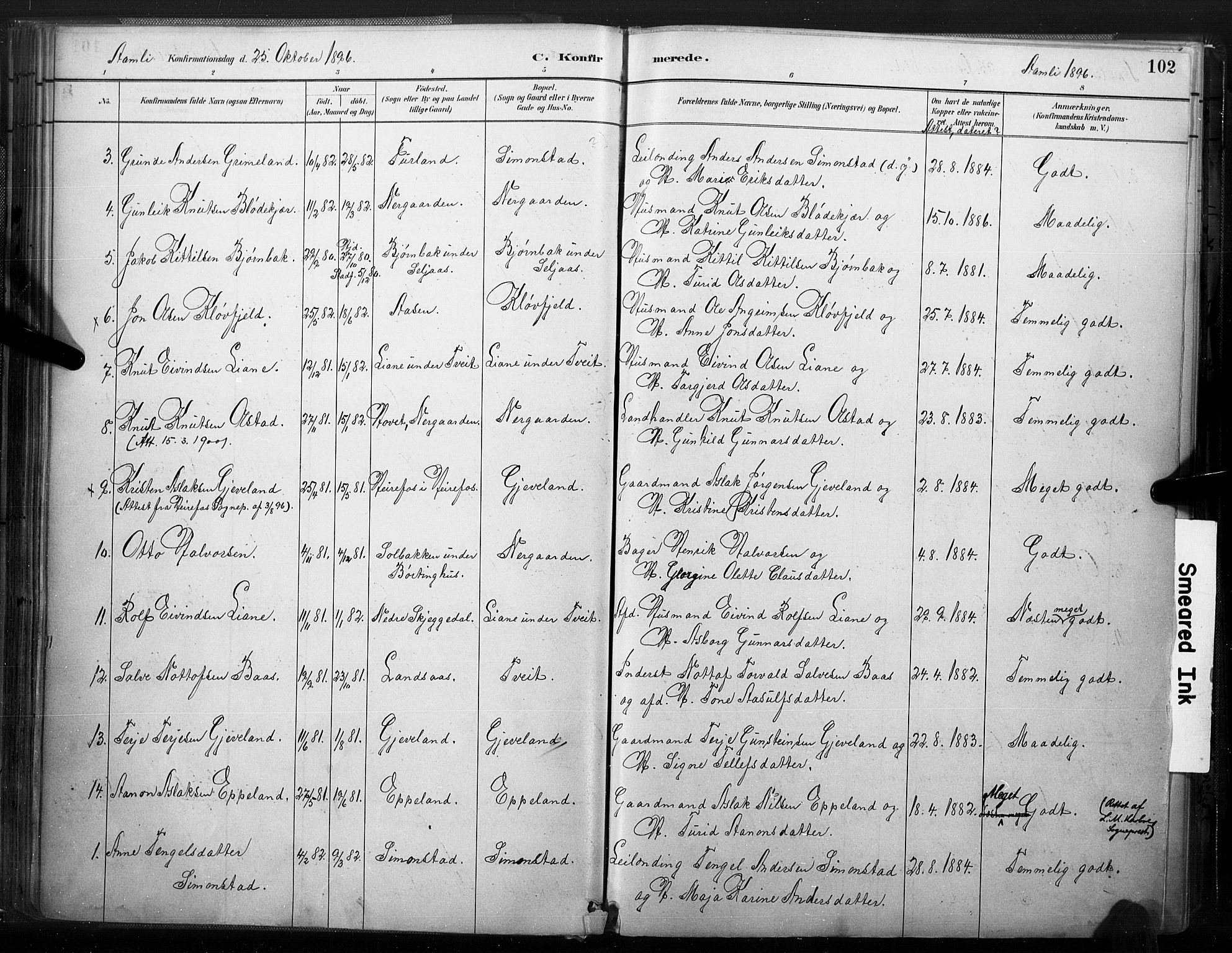 Åmli sokneprestkontor, SAK/1111-0050/F/Fa/Fac/L0010: Parish register (official) no. A 10 /1, 1885-1899, p. 102