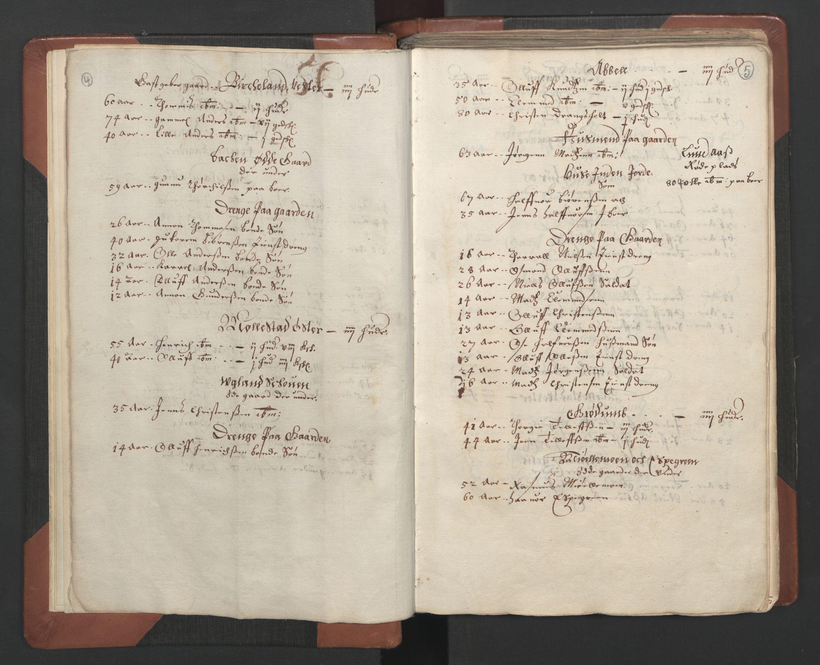 RA, Bailiff's Census 1664-1666, no. 7: Nedenes fogderi, 1664-1666, p. 4-5