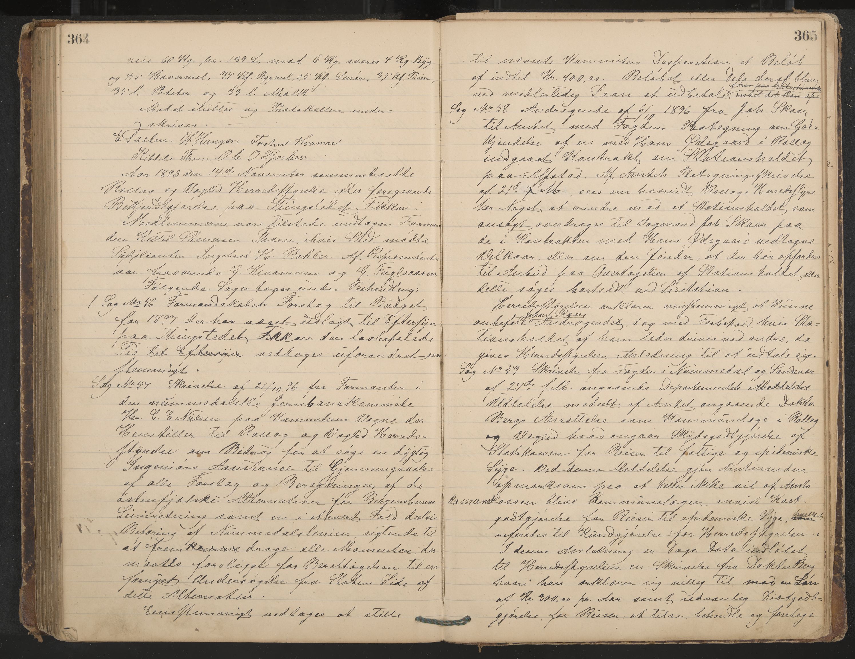 Rollag formannskap og sentraladministrasjon, IKAK/0632021-2/A/Aa/L0003: Møtebok, 1884-1897, p. 364-365