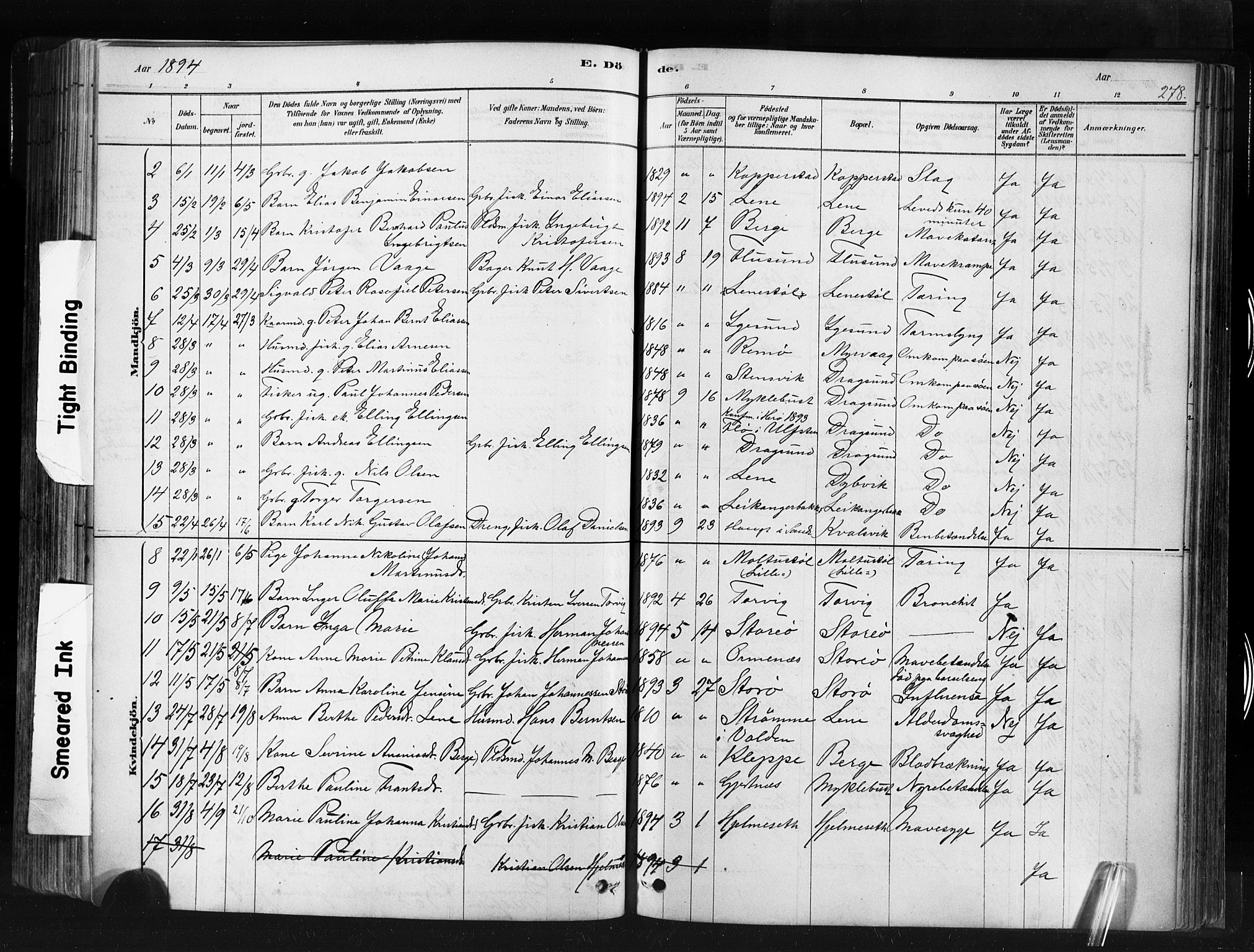 Ministerialprotokoller, klokkerbøker og fødselsregistre - Møre og Romsdal, AV/SAT-A-1454/507/L0073: Parish register (official) no. 507A08, 1878-1904, p. 278