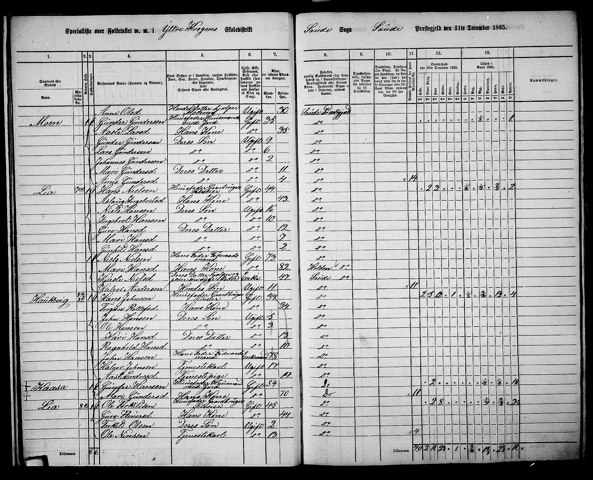 RA, 1865 census for Sauherad, 1865, p. 16