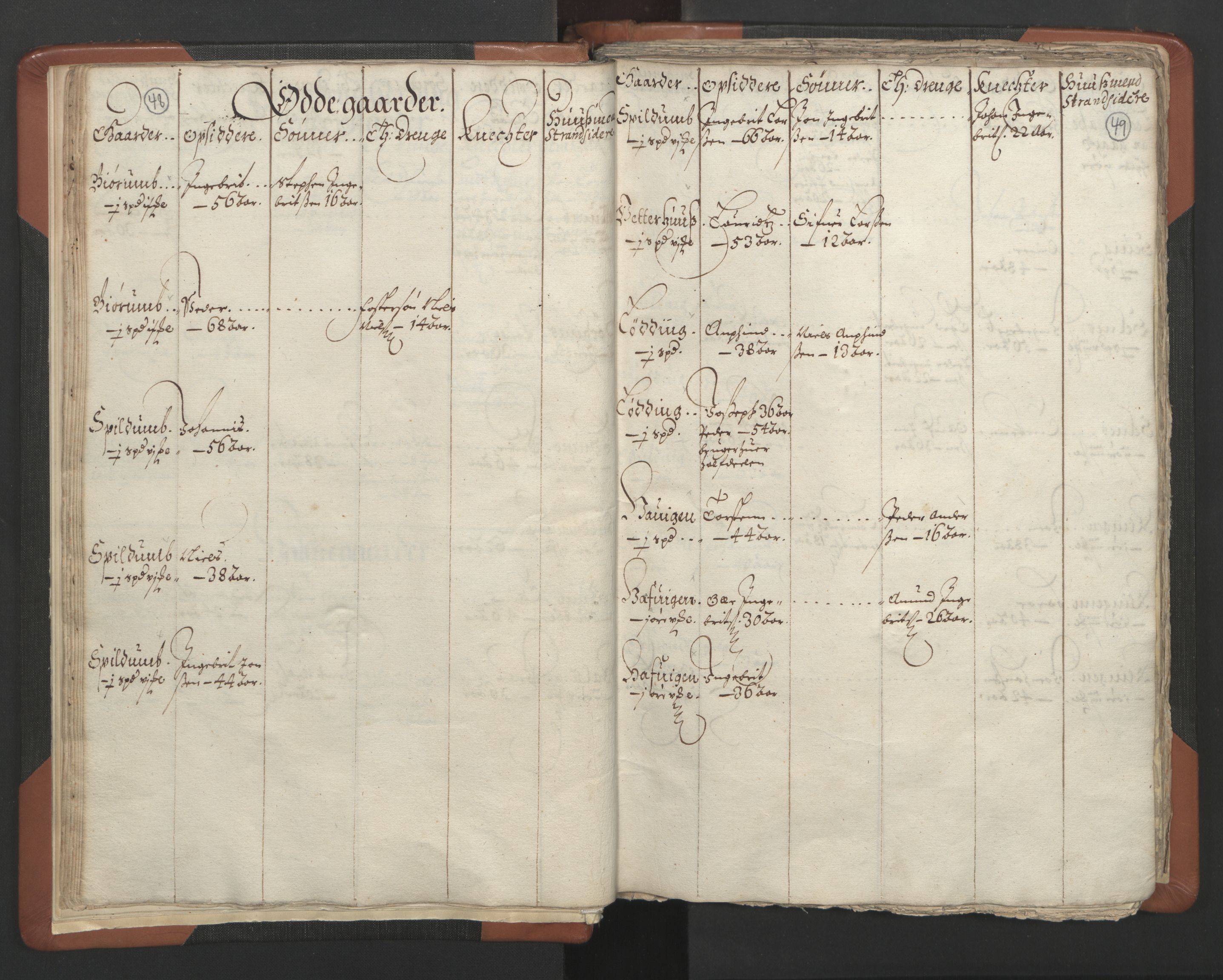 RA, Vicar's Census 1664-1666, no. 34: Namdal deanery, 1664-1666, p. 48-49