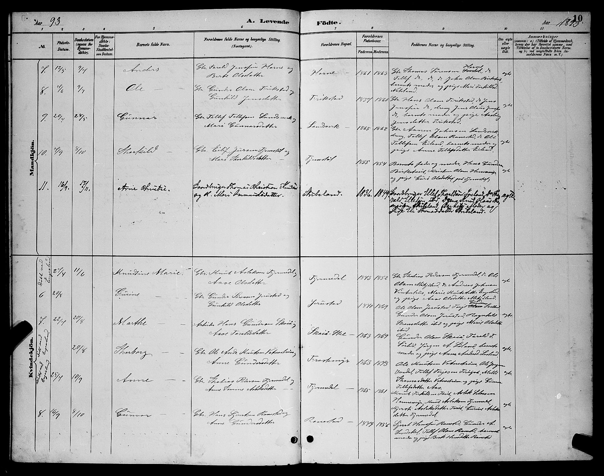 Evje sokneprestkontor, AV/SAK-1111-0008/F/Fb/Fbc/L0004: Parish register (copy) no. B 4, 1890-1900, p. 10