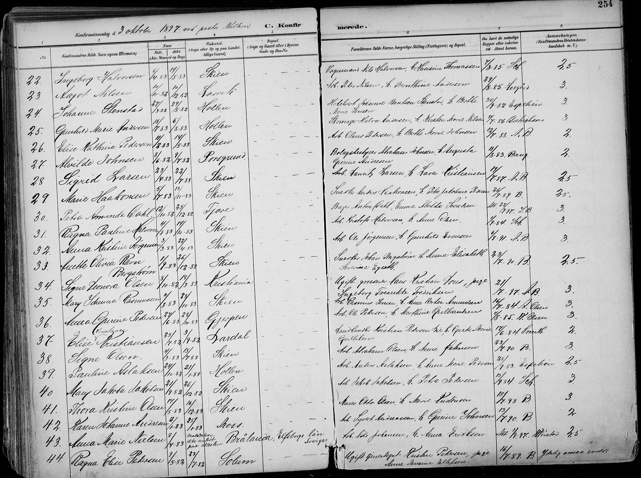Skien kirkebøker, SAKO/A-302/F/Fa/L0010: Parish register (official) no. 10, 1891-1899, p. 254