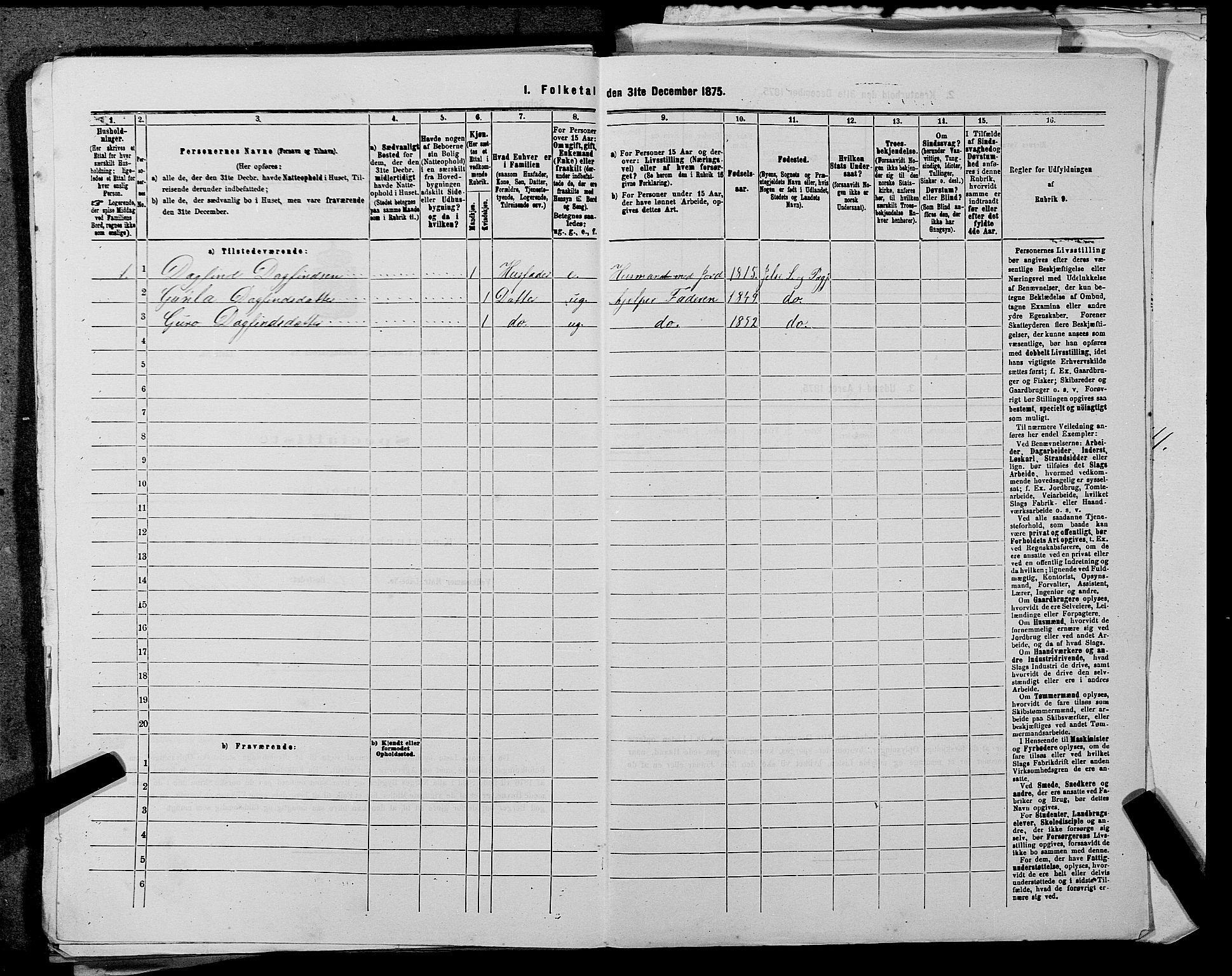 SAST, 1875 census for 1138P Jelsa, 1875, p. 315