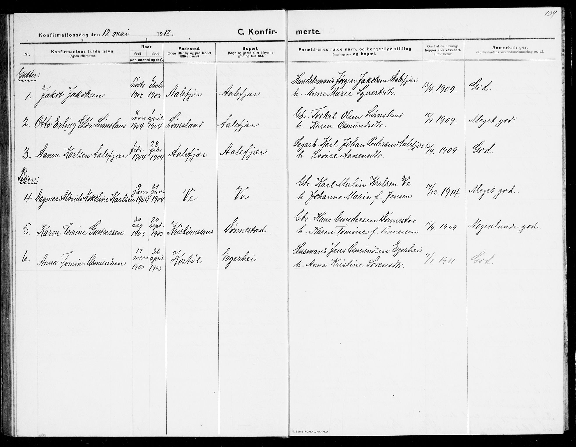 Tveit sokneprestkontor, AV/SAK-1111-0043/F/Fb/L0005: Parish register (copy) no. B 5, 1915-1941, p. 109