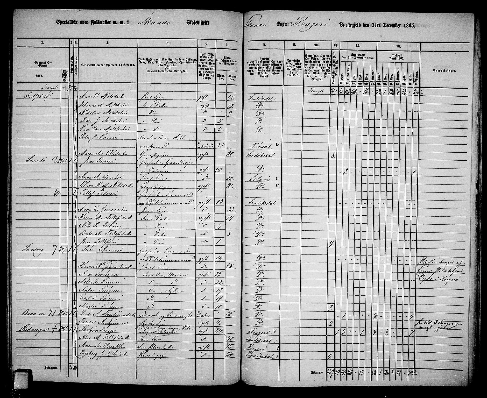 RA, 1865 census for Kragerø/Sannidal og Skåtøy, 1865, p. 197