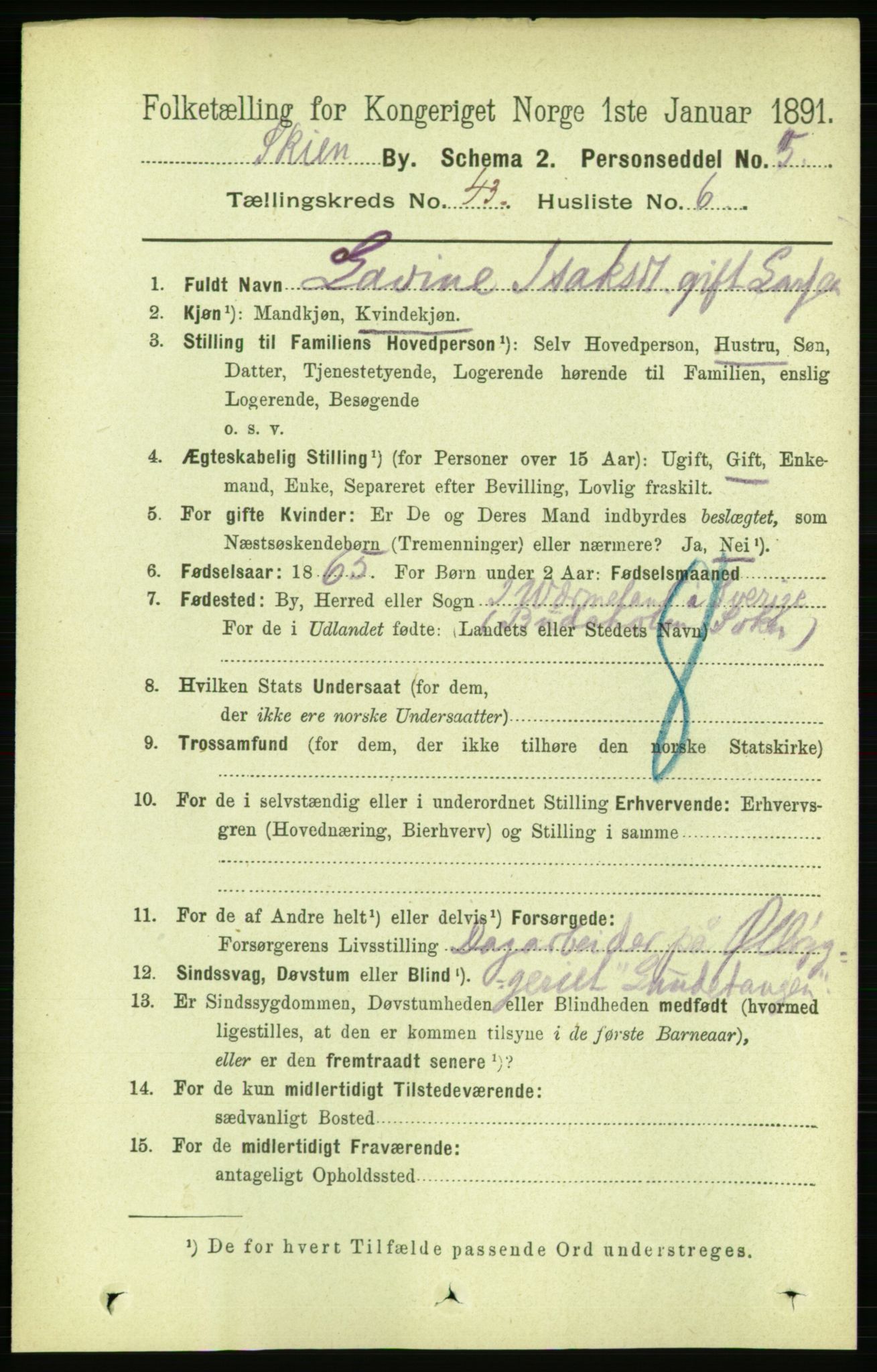 RA, 1891 census for 0806 Skien, 1891, p. 8620