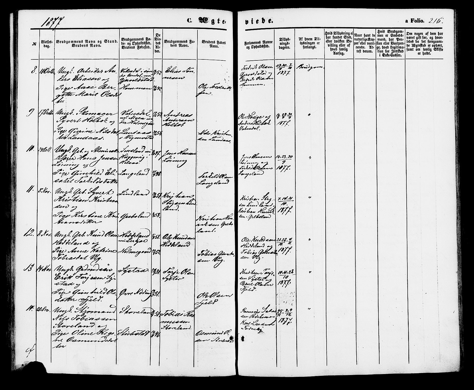 Holum sokneprestkontor, AV/SAK-1111-0022/F/Fa/Faa/L0006: Parish register (official) no. A 6, 1865-1883, p. 216