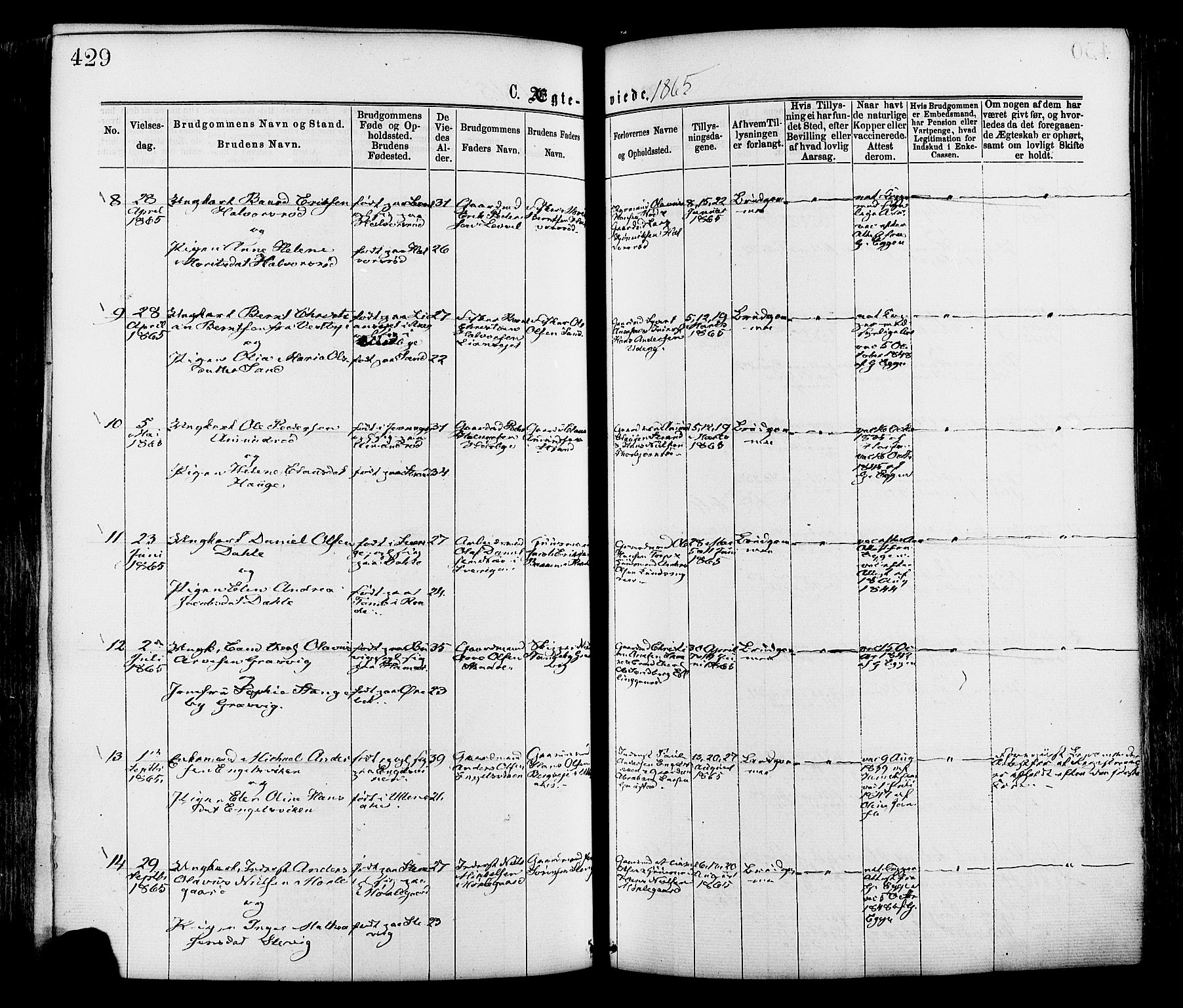 Onsøy prestekontor Kirkebøker, AV/SAO-A-10914/F/Fa/L0004: Parish register (official) no. I 4, 1861-1877, p. 429