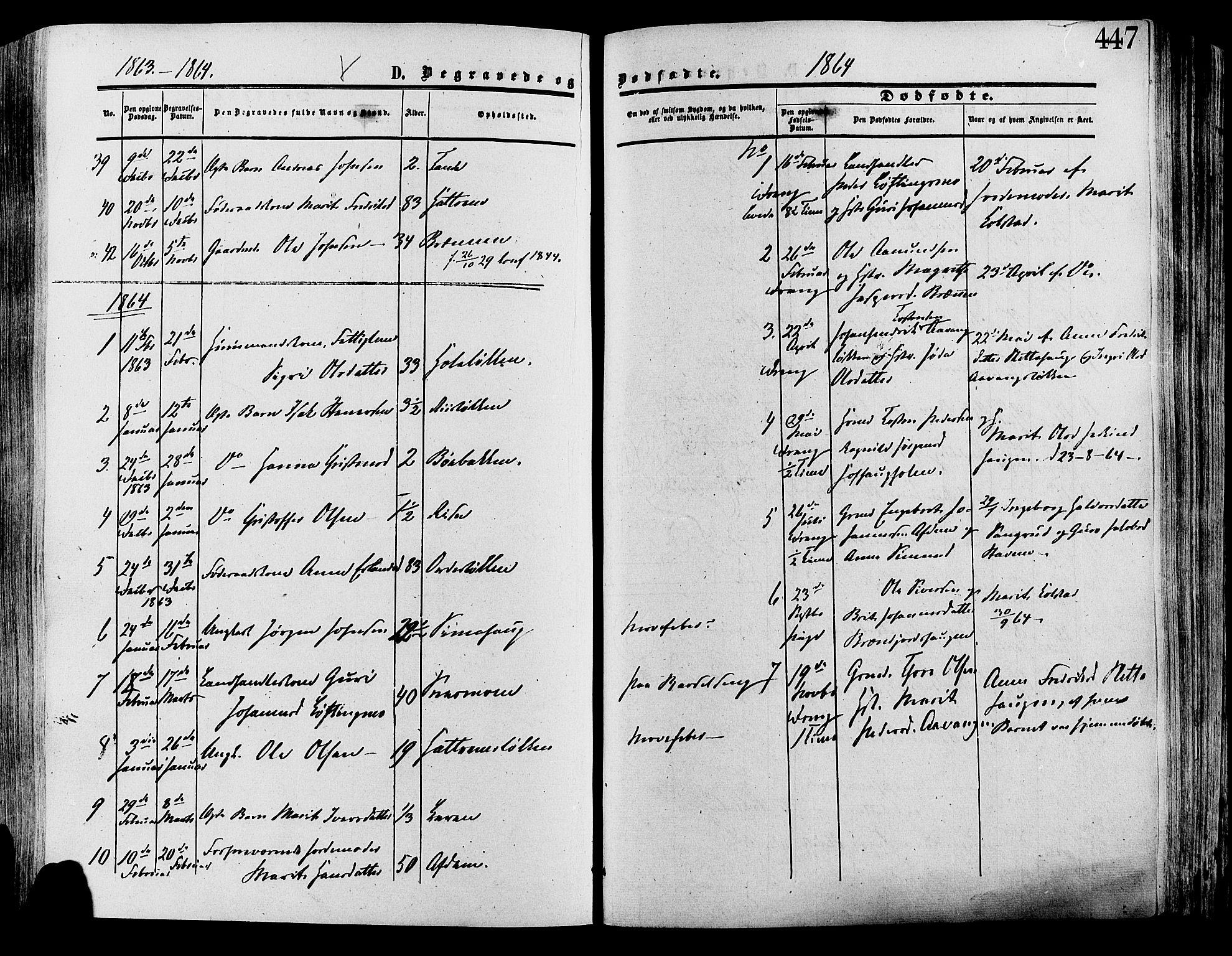 Lesja prestekontor, SAH/PREST-068/H/Ha/Haa/L0008: Parish register (official) no. 8, 1854-1880, p. 447