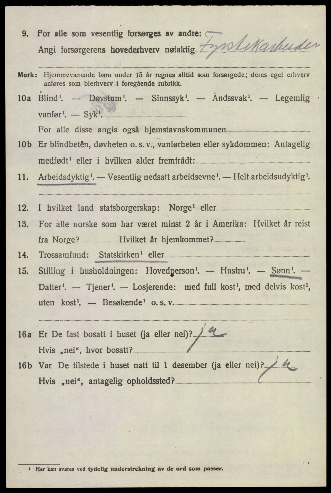 SAKO, 1920 census for Brunlanes, 1920, p. 6088