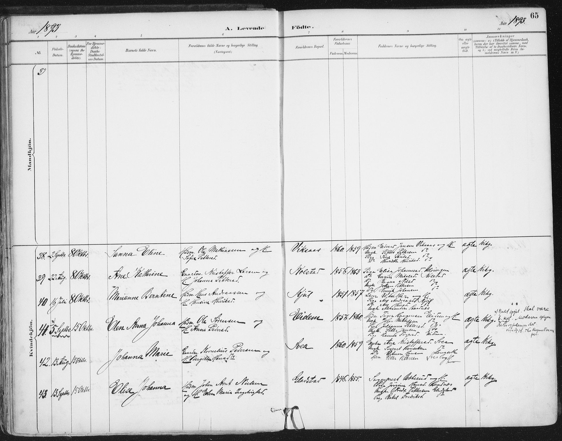 Ministerialprotokoller, klokkerbøker og fødselsregistre - Nordland, AV/SAT-A-1459/816/L0244: Parish register (official) no. 816A10, 1886-1903, p. 65