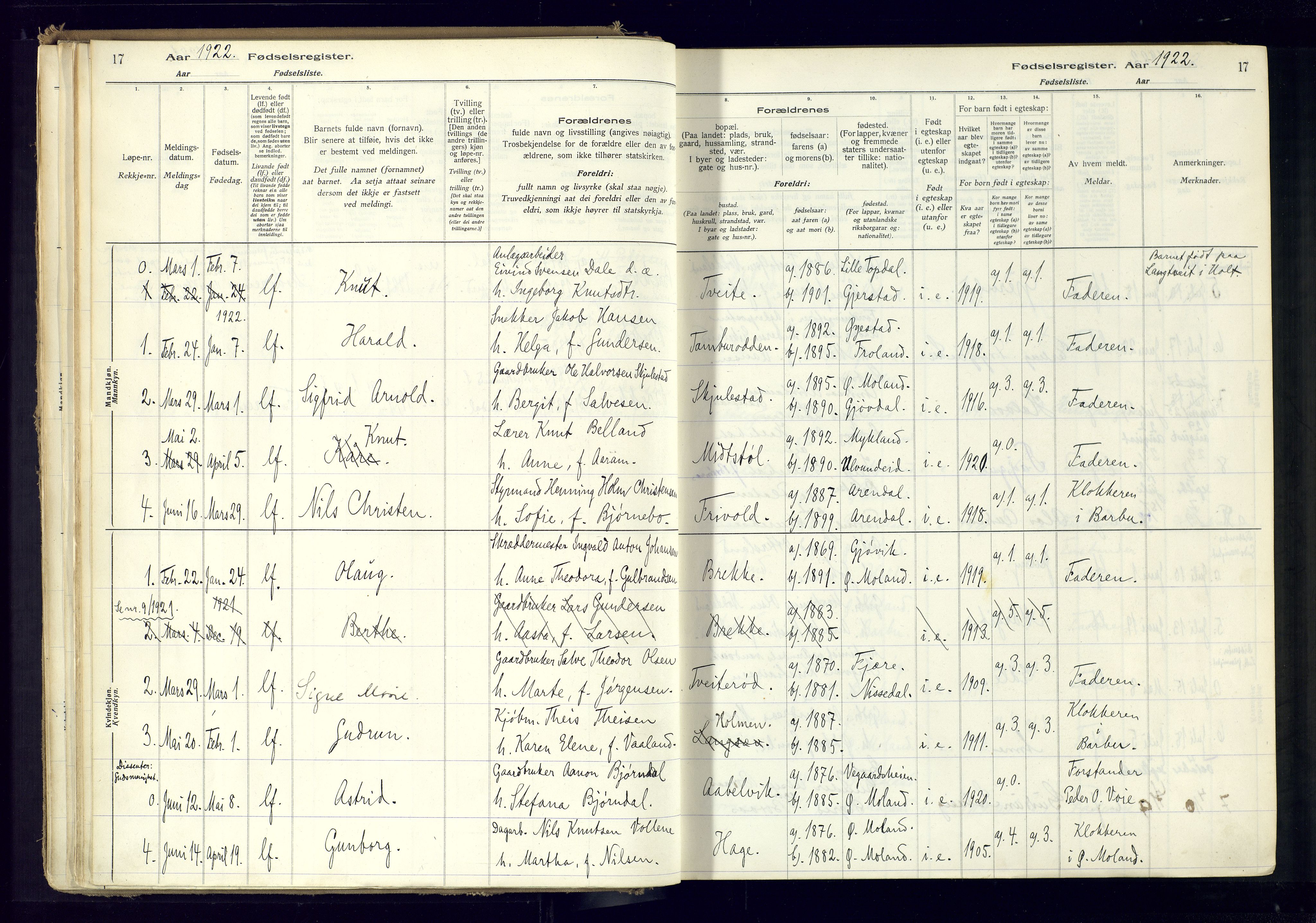 Austre Moland sokneprestkontor, SAK/1111-0001/J/Ja/L0001: Birth register no. A-VI-25, 1916-1975, p. 17