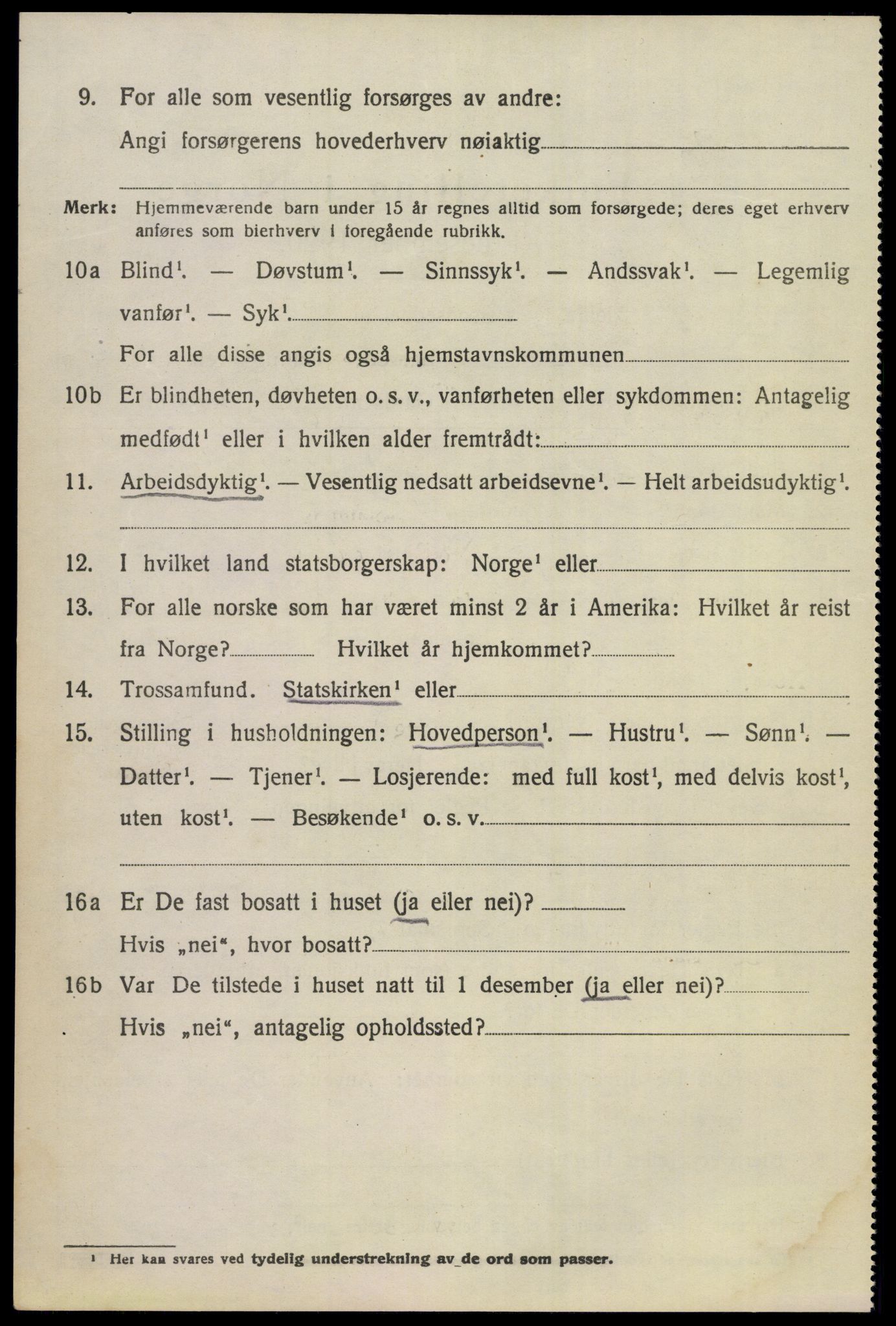 SAKO, 1920 census for Hol (Buskerud), 1920, p. 1202