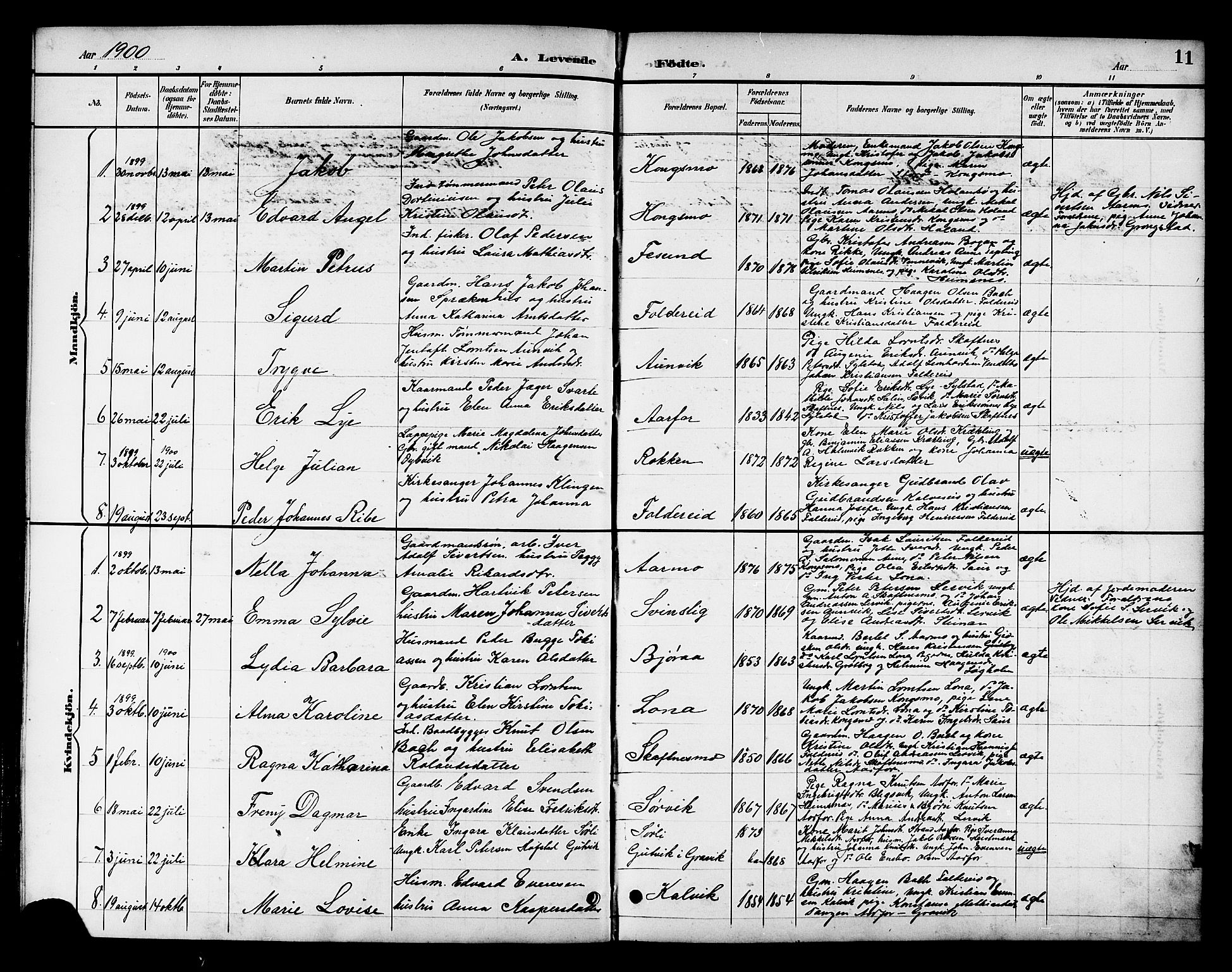 Ministerialprotokoller, klokkerbøker og fødselsregistre - Nord-Trøndelag, AV/SAT-A-1458/783/L0662: Parish register (copy) no. 783C02, 1894-1919, p. 11