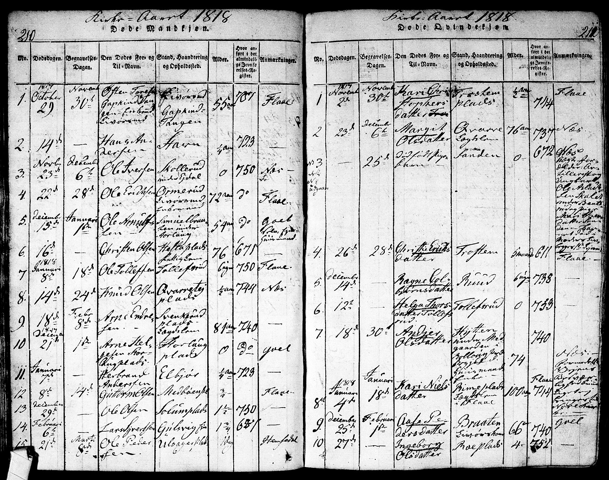 Nes kirkebøker, SAKO/A-236/F/Fa/L0007: Parish register (official) no. 7, 1815-1823, p. 210-211