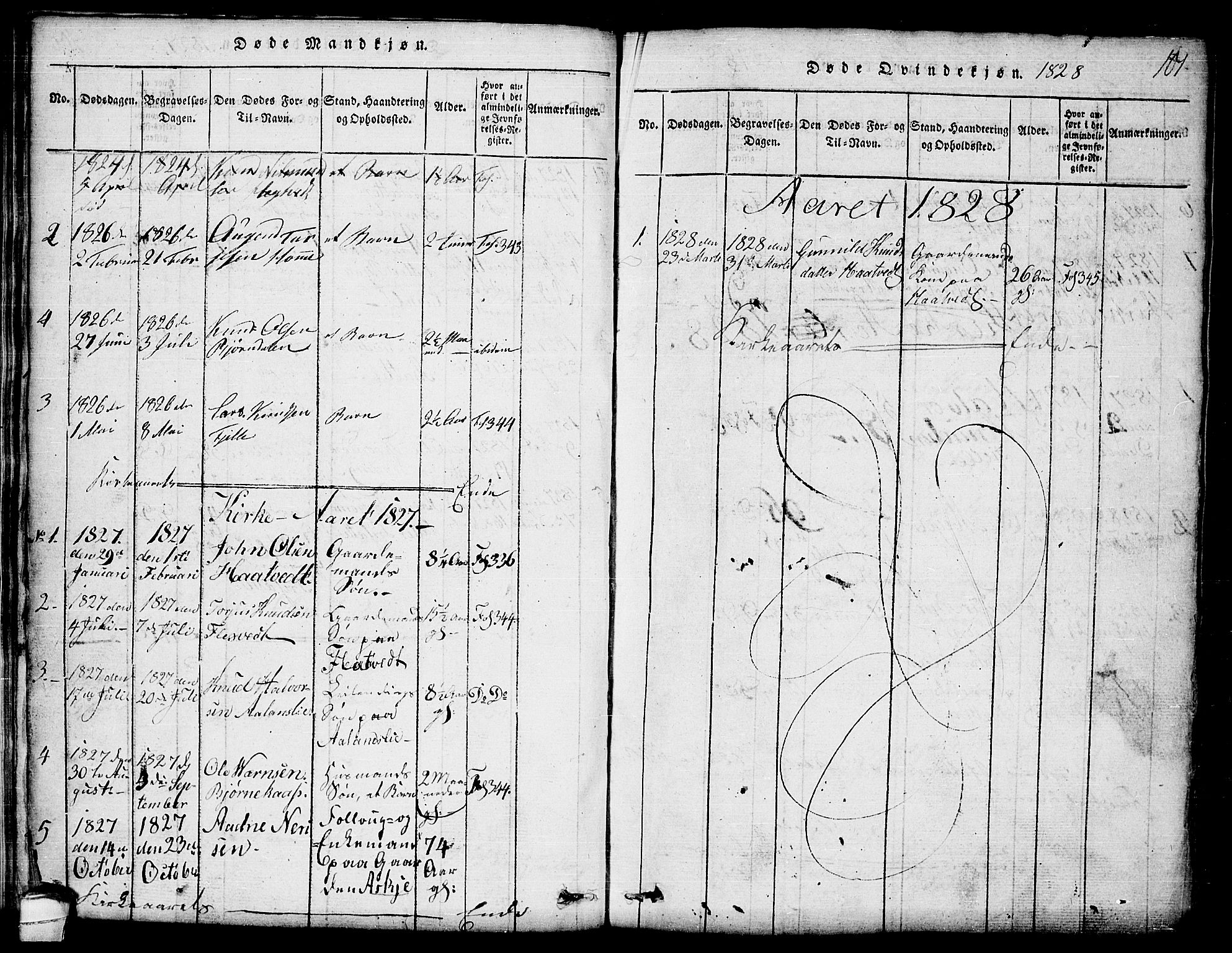 Lårdal kirkebøker, SAKO/A-284/G/Ga/L0001: Parish register (copy) no. I 1, 1815-1861, p. 101