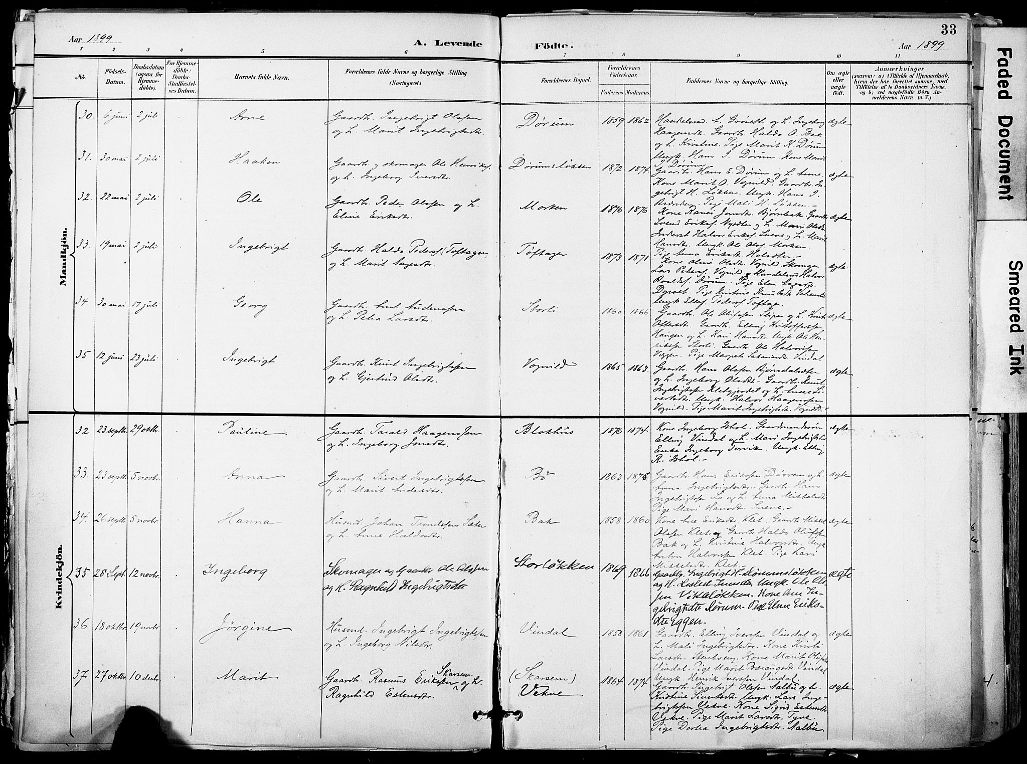 Ministerialprotokoller, klokkerbøker og fødselsregistre - Sør-Trøndelag, SAT/A-1456/678/L0902: Parish register (official) no. 678A11, 1895-1911, p. 33