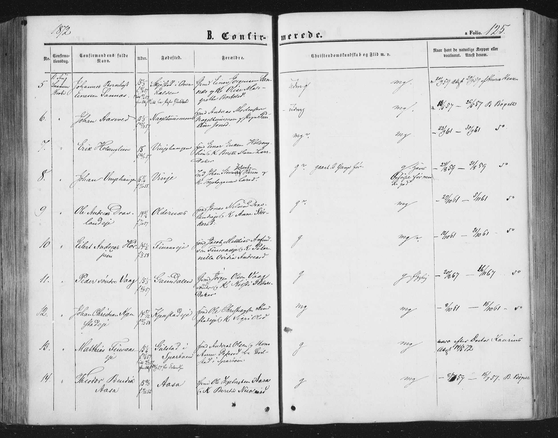 Ministerialprotokoller, klokkerbøker og fødselsregistre - Nord-Trøndelag, AV/SAT-A-1458/749/L0472: Parish register (official) no. 749A06, 1857-1873, p. 125