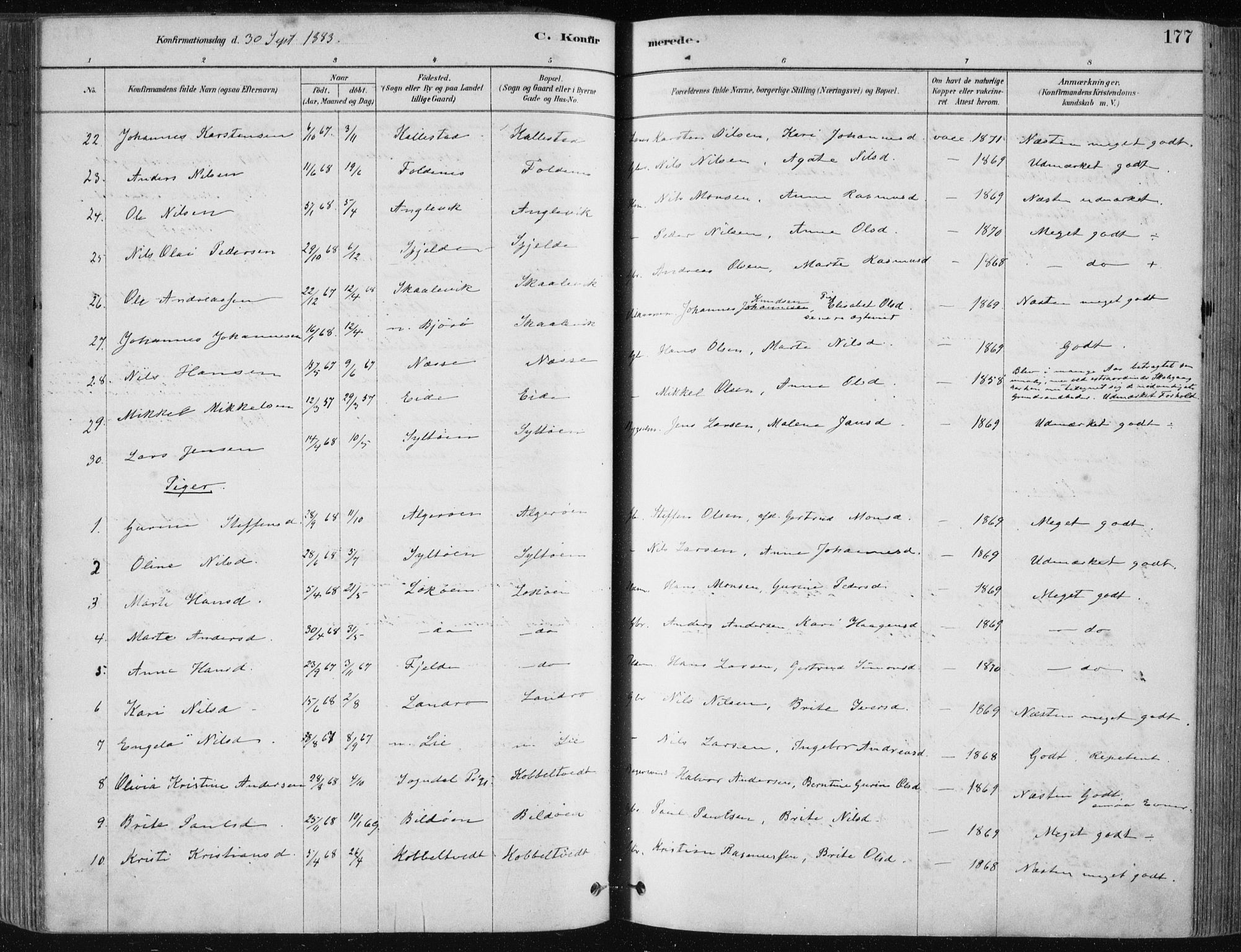 Fjell sokneprestembete, SAB/A-75301/H/Haa: Parish register (official) no. A  8, 1878-1898, p. 177