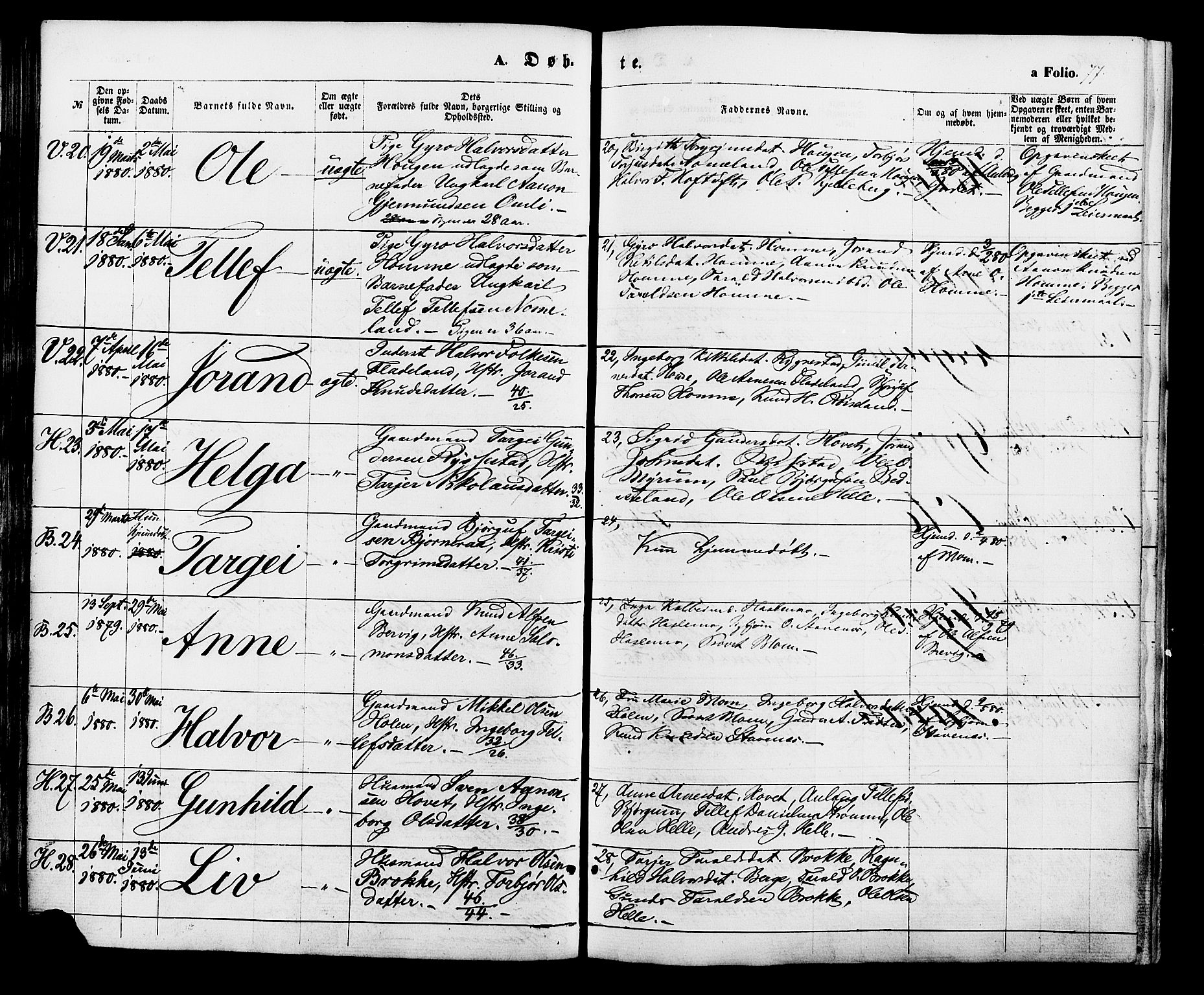 Valle sokneprestkontor, AV/SAK-1111-0044/F/Fa/Fac/L0008: Parish register (official) no. A 8, 1868-1882, p. 77