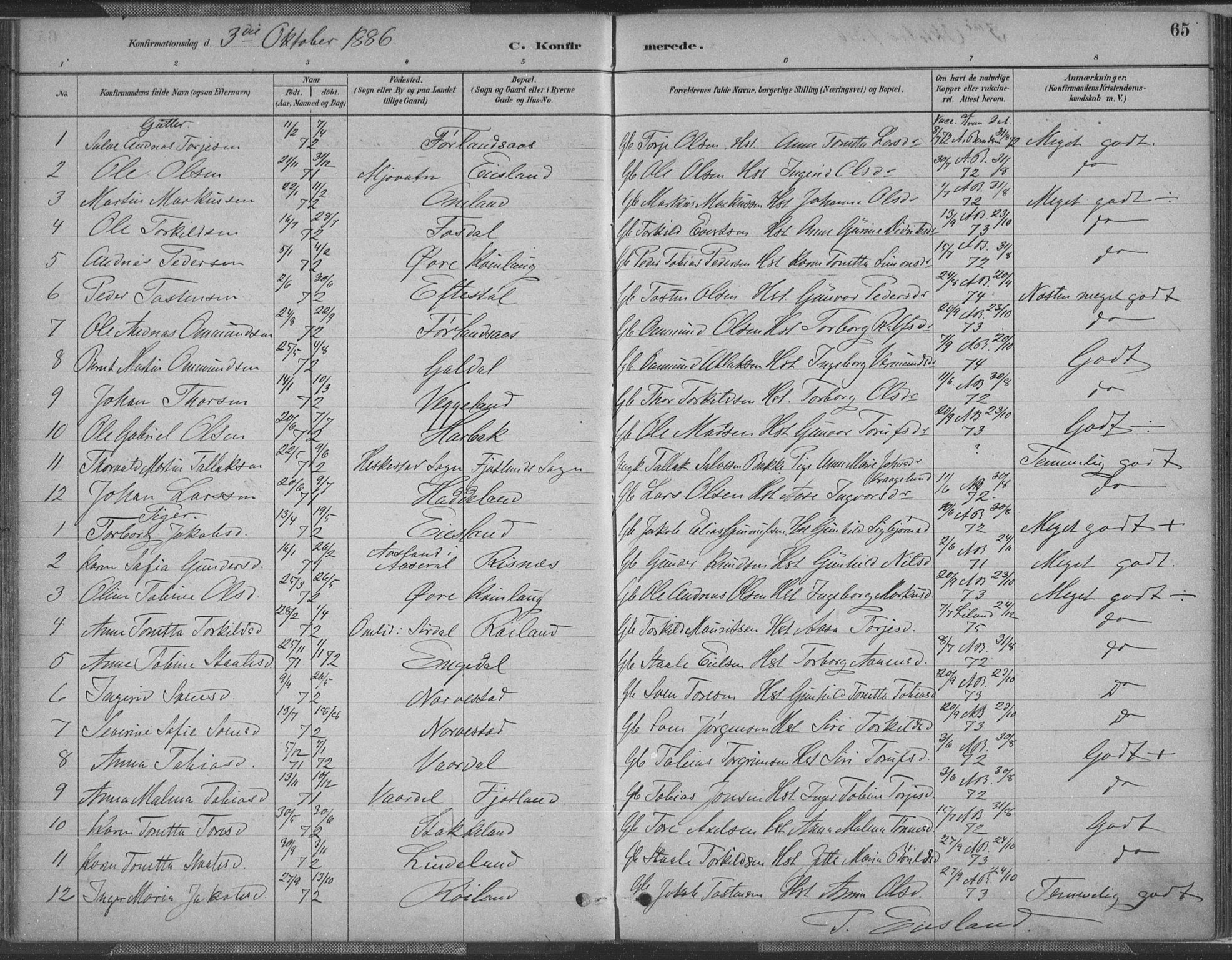 Fjotland sokneprestkontor, AV/SAK-1111-0010/F/Fa/L0002: Parish register (official) no. A 2, 1880-1898, p. 65