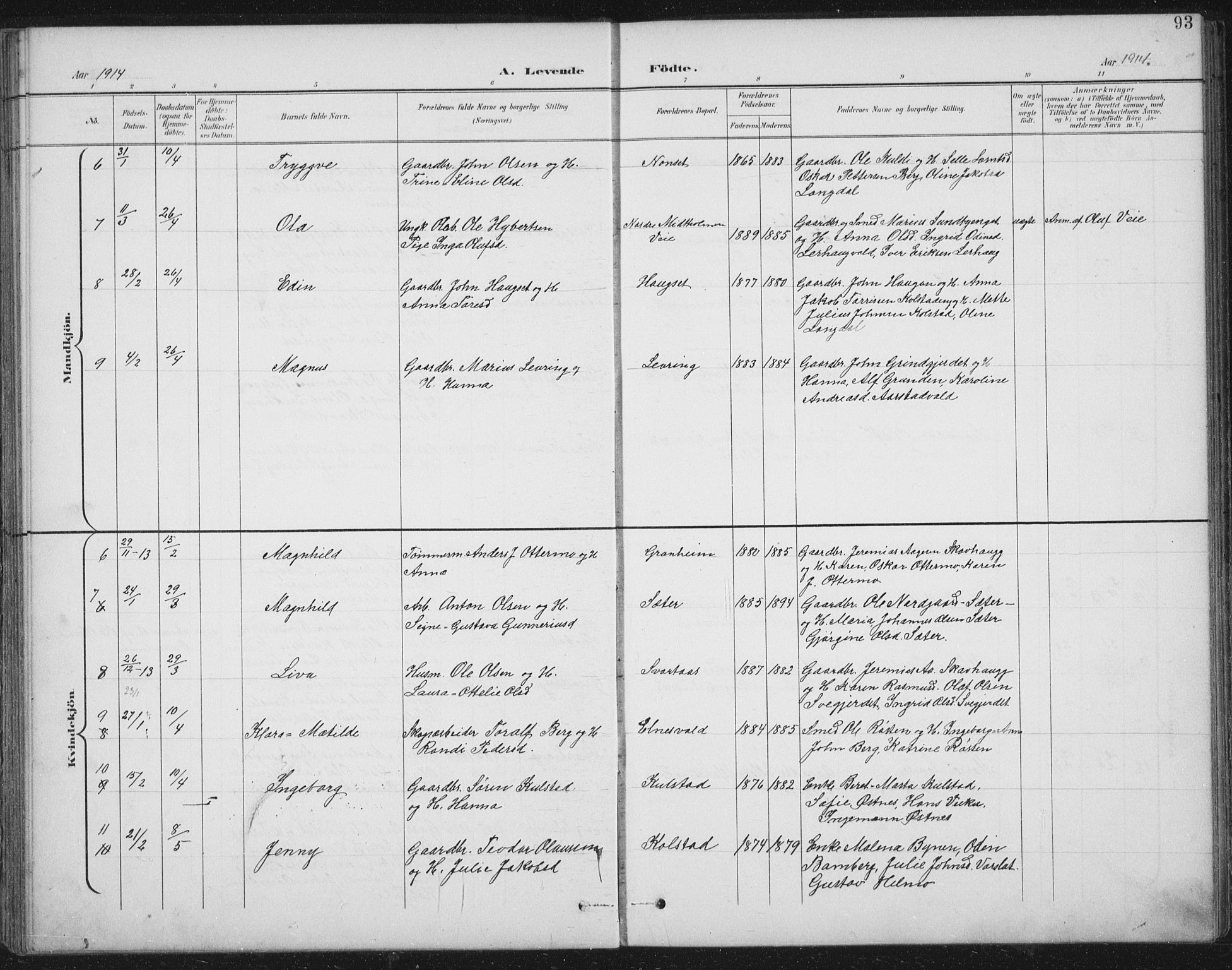 Ministerialprotokoller, klokkerbøker og fødselsregistre - Nord-Trøndelag, AV/SAT-A-1458/724/L0269: Parish register (copy) no. 724C05, 1899-1920, p. 93