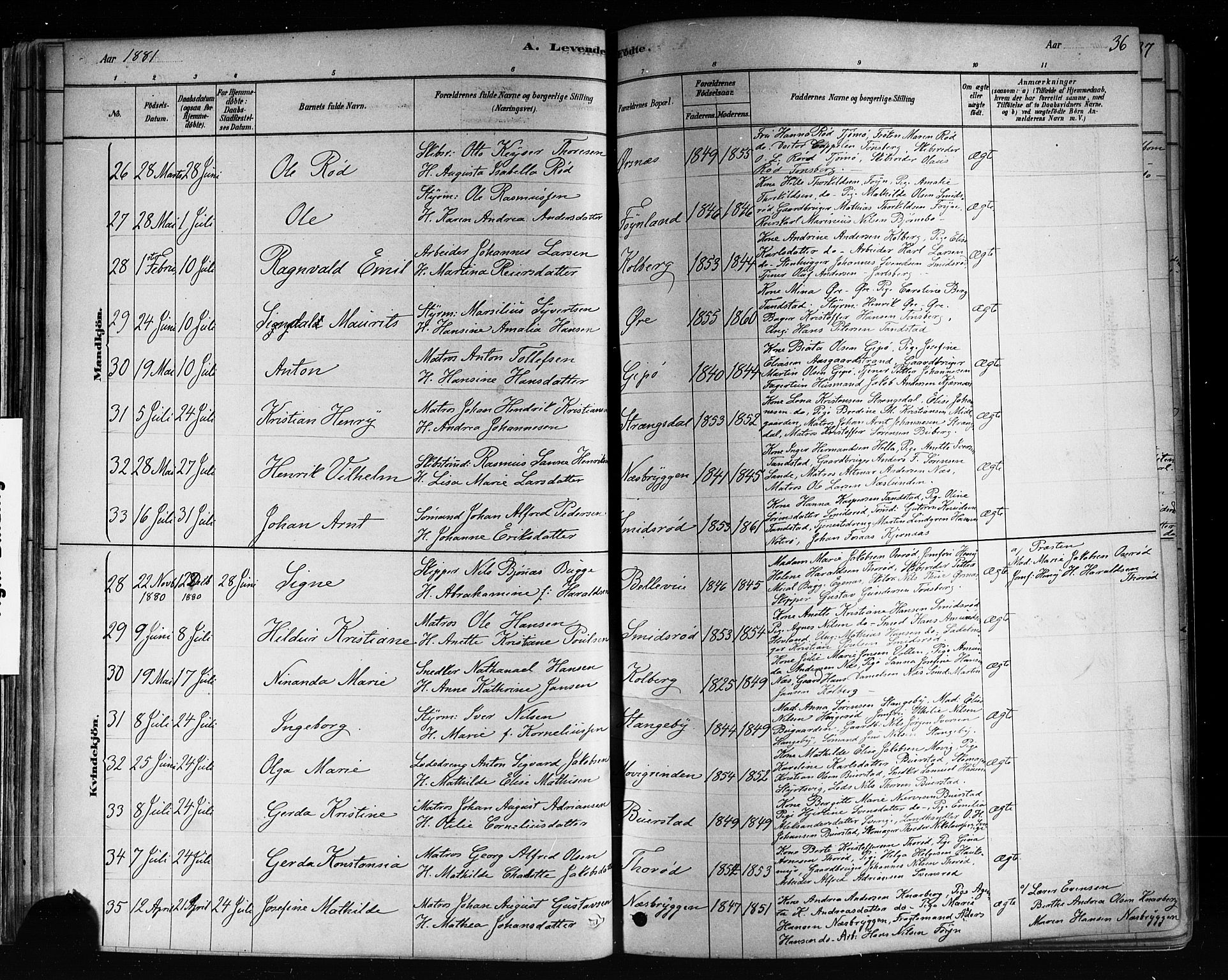 Nøtterøy kirkebøker, AV/SAKO-A-354/F/Fa/L0008: Parish register (official) no. I 8, 1878-1893, p. 36