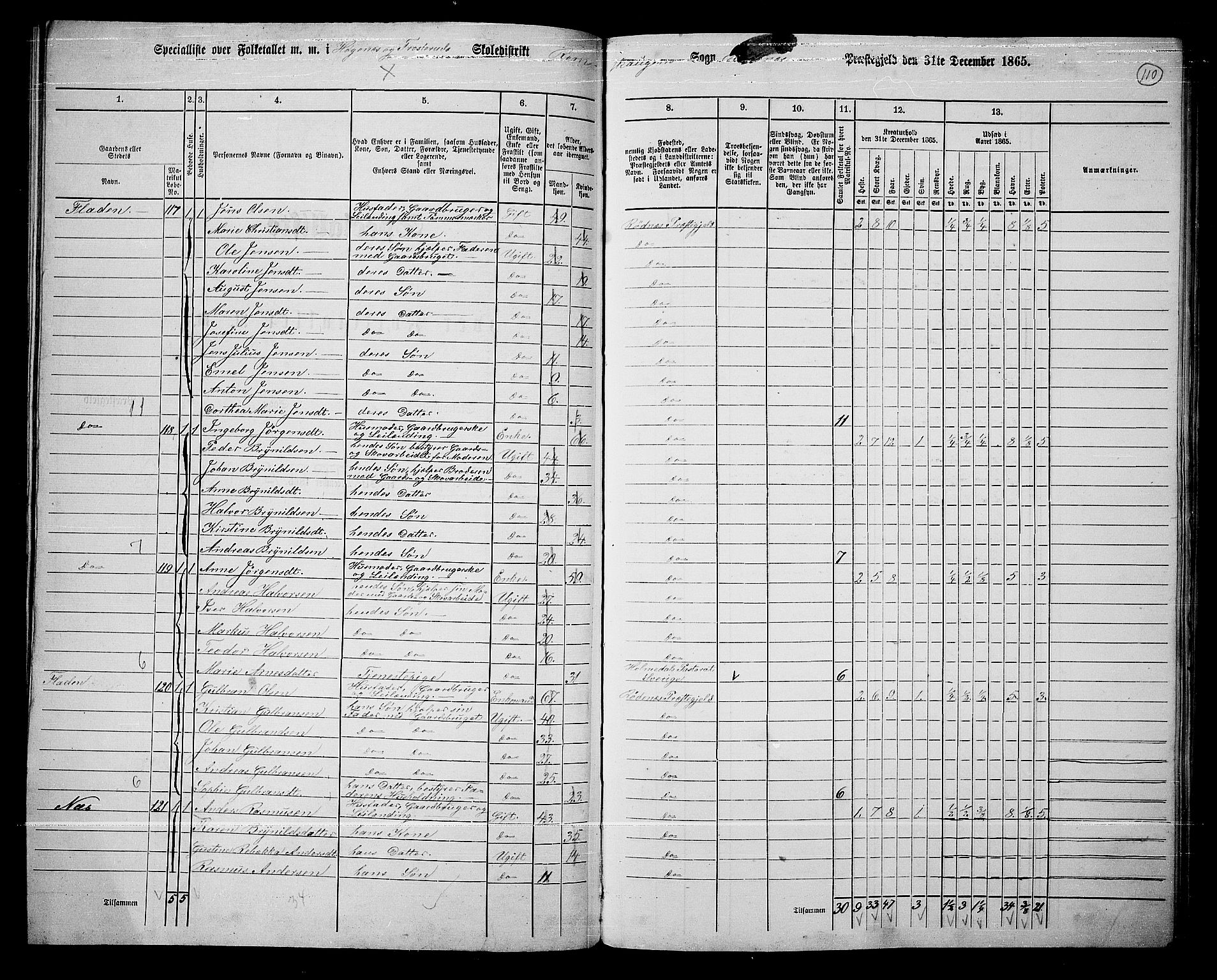 RA, 1865 census for Rødenes, 1865, p. 95