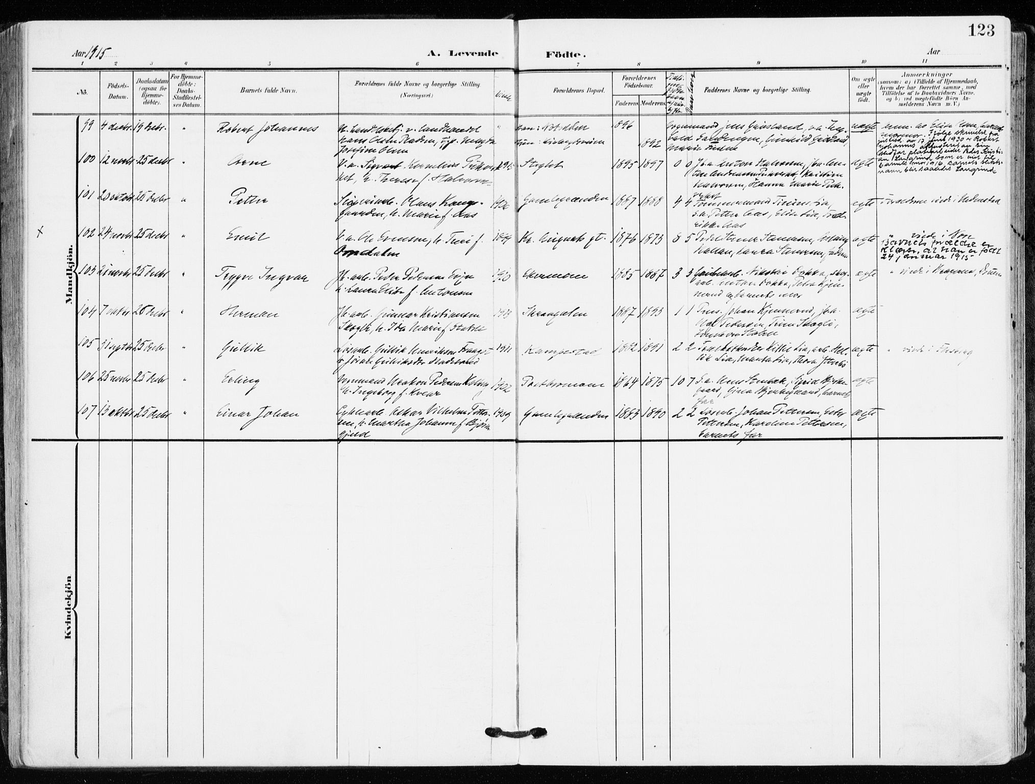 Kongsberg kirkebøker, AV/SAKO-A-22/F/Fb/L0004: Parish register (official) no. II 4, 1906-1918, p. 123