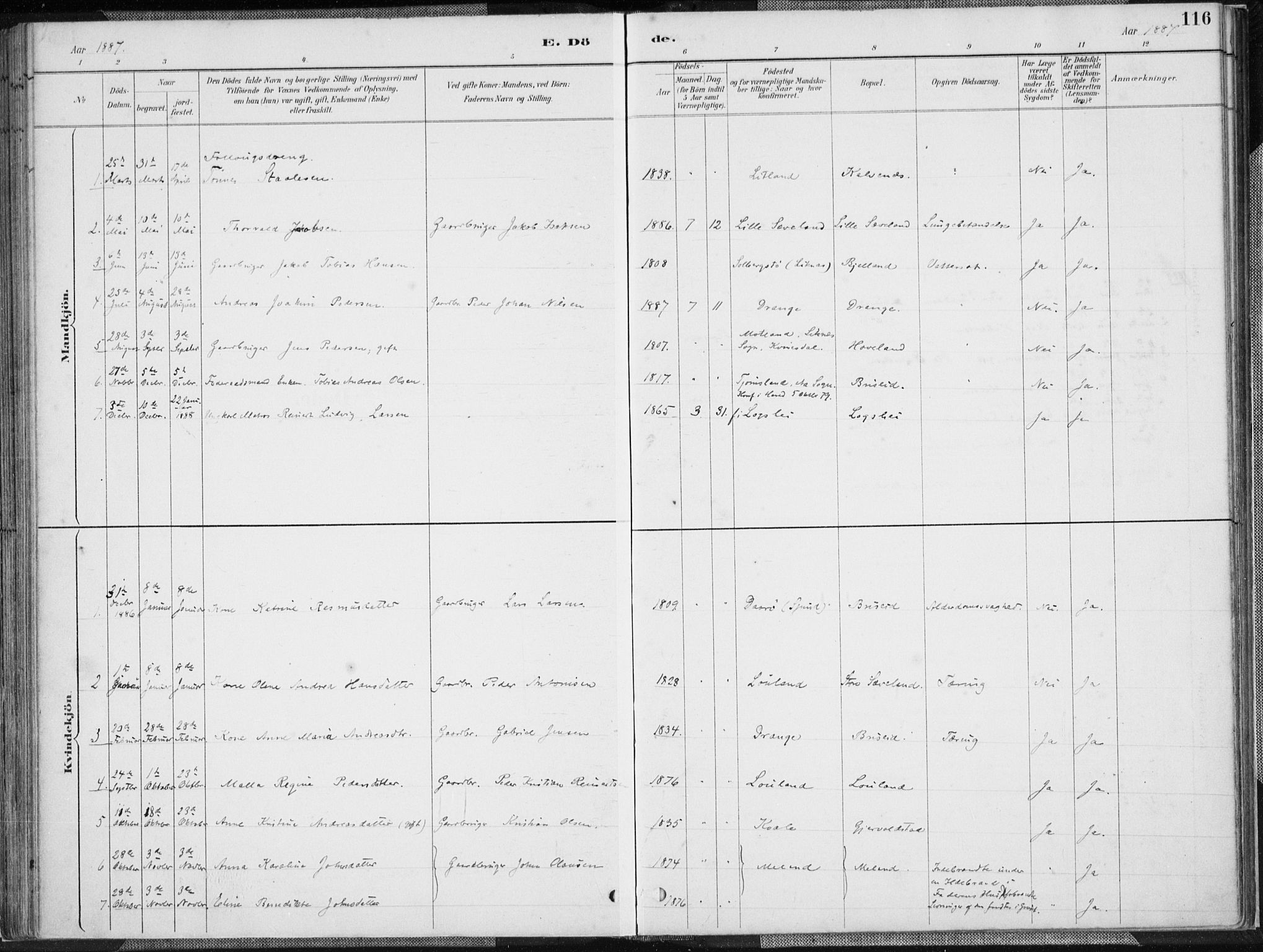 Herad sokneprestkontor, SAK/1111-0018/F/Fa/Faa/L0006: Parish register (official) no. A 6, 1887-1907, p. 116