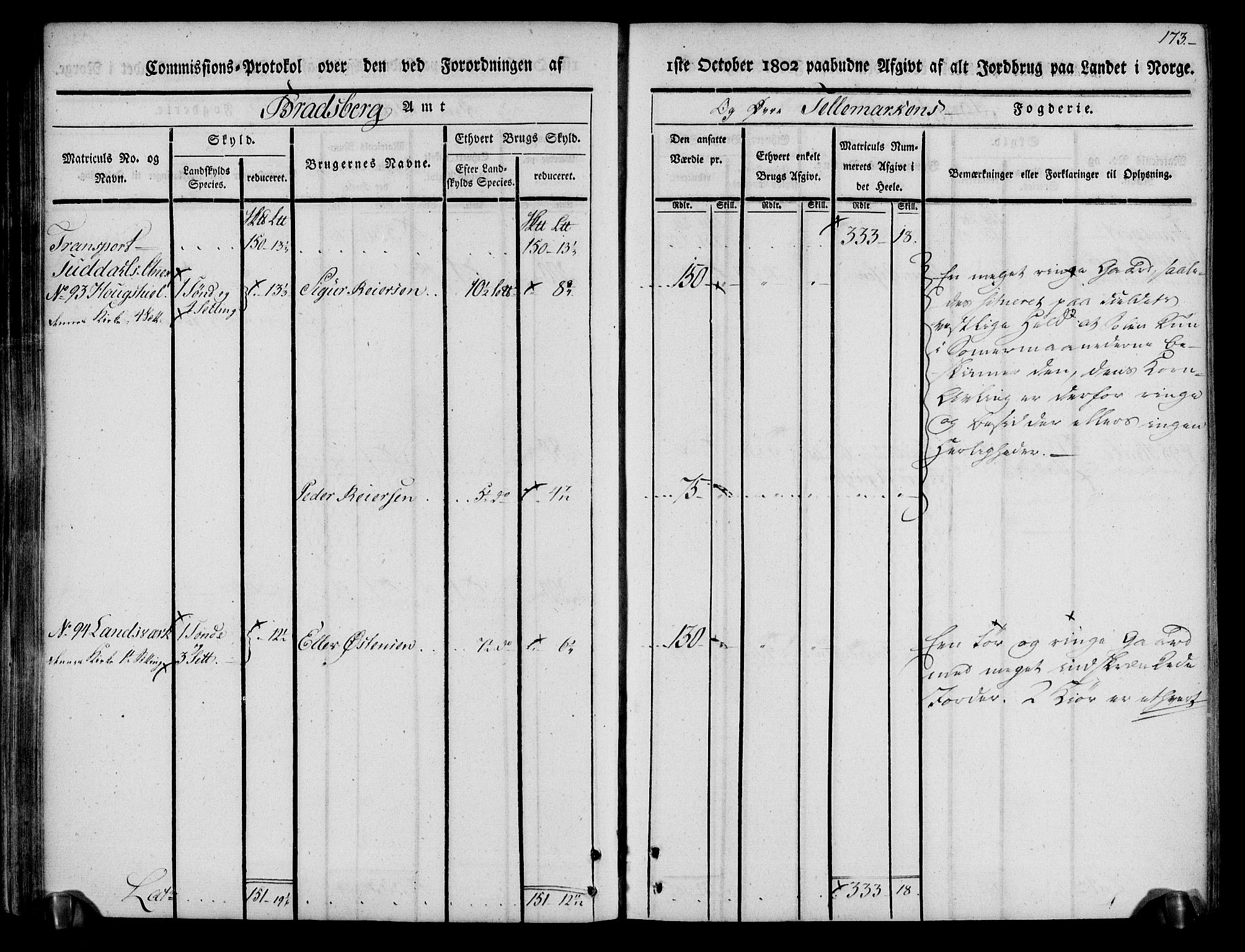 Rentekammeret inntil 1814, Realistisk ordnet avdeling, AV/RA-EA-4070/N/Ne/Nea/L0074: Øvre Telemarken fogderi. Kommisjonsprotokoll for fogderiets østre del - Tinn, Hjartdal og Seljord prestegjeld., 1803, p. 173