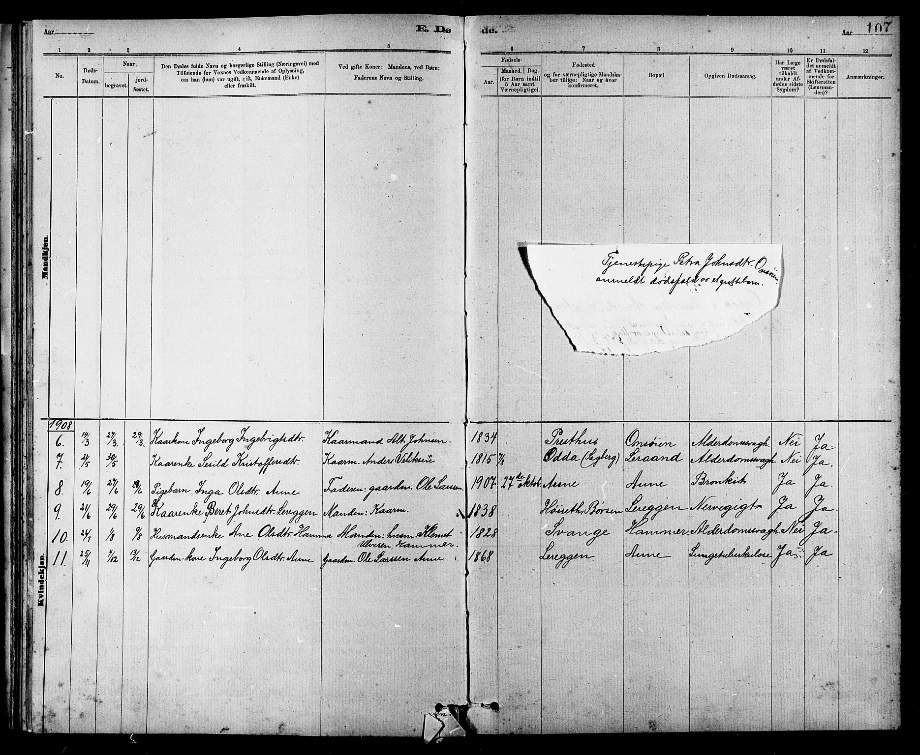 Ministerialprotokoller, klokkerbøker og fødselsregistre - Sør-Trøndelag, SAT/A-1456/666/L0790: Parish register (copy) no. 666C03, 1885-1908, p. 107