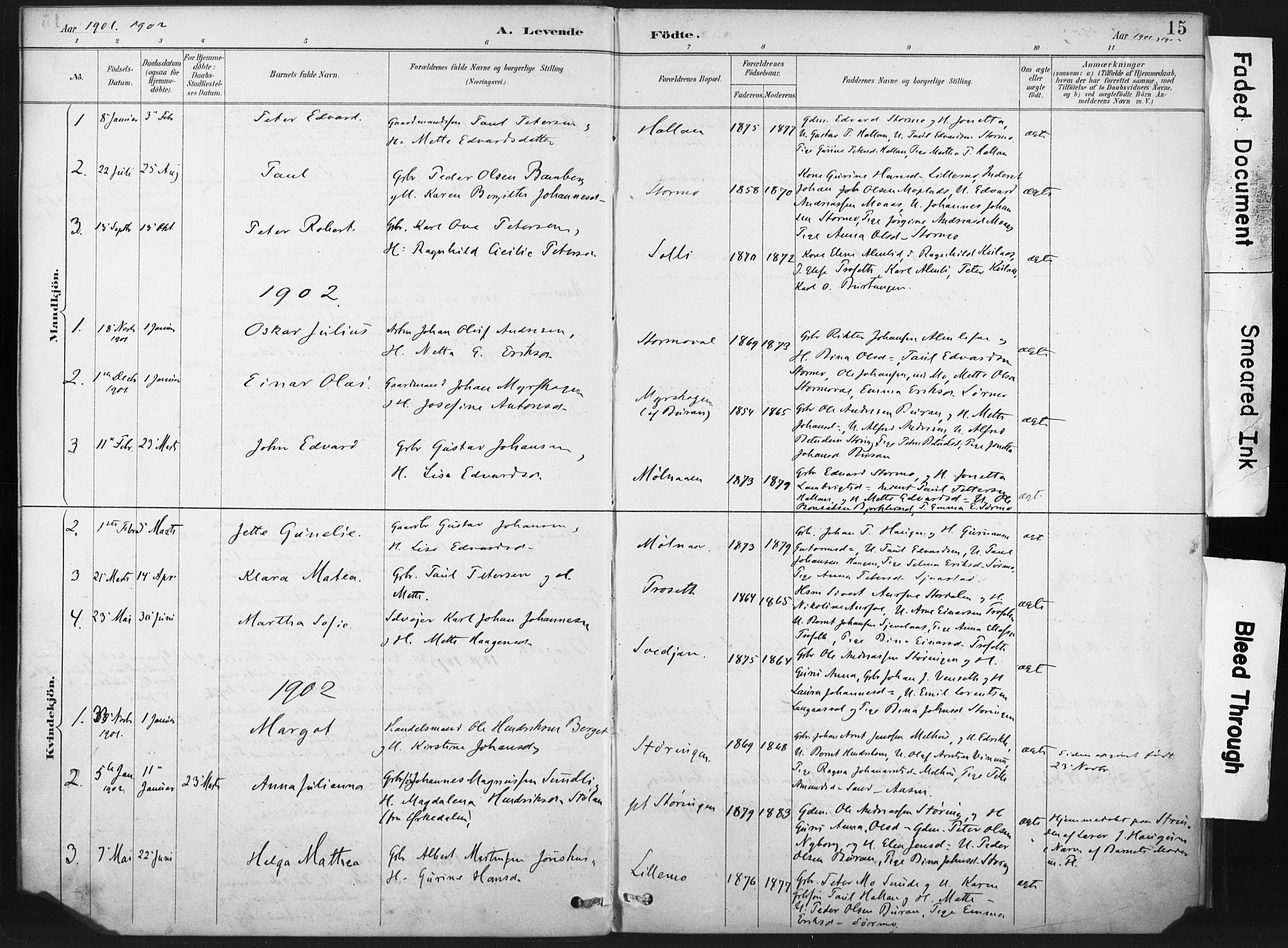 Ministerialprotokoller, klokkerbøker og fødselsregistre - Nord-Trøndelag, SAT/A-1458/718/L0175: Parish register (official) no. 718A01, 1890-1923, p. 15