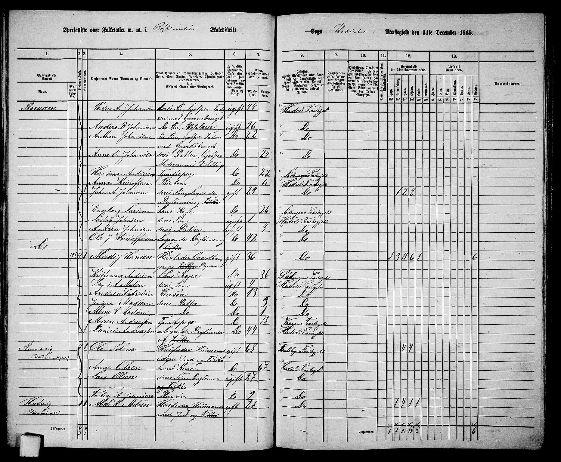 RA, 1865 census for Hadsel, 1865, p. 44