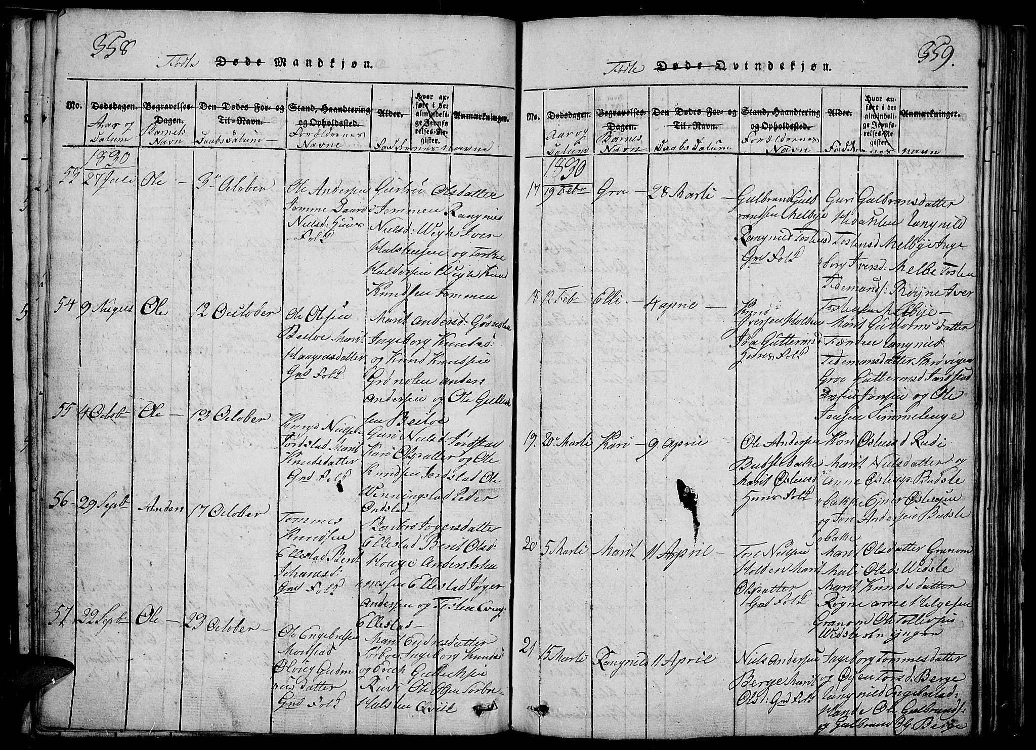 Slidre prestekontor, SAH/PREST-134/H/Ha/Haa/L0002: Parish register (official) no. 2, 1814-1830, p. 358-359
