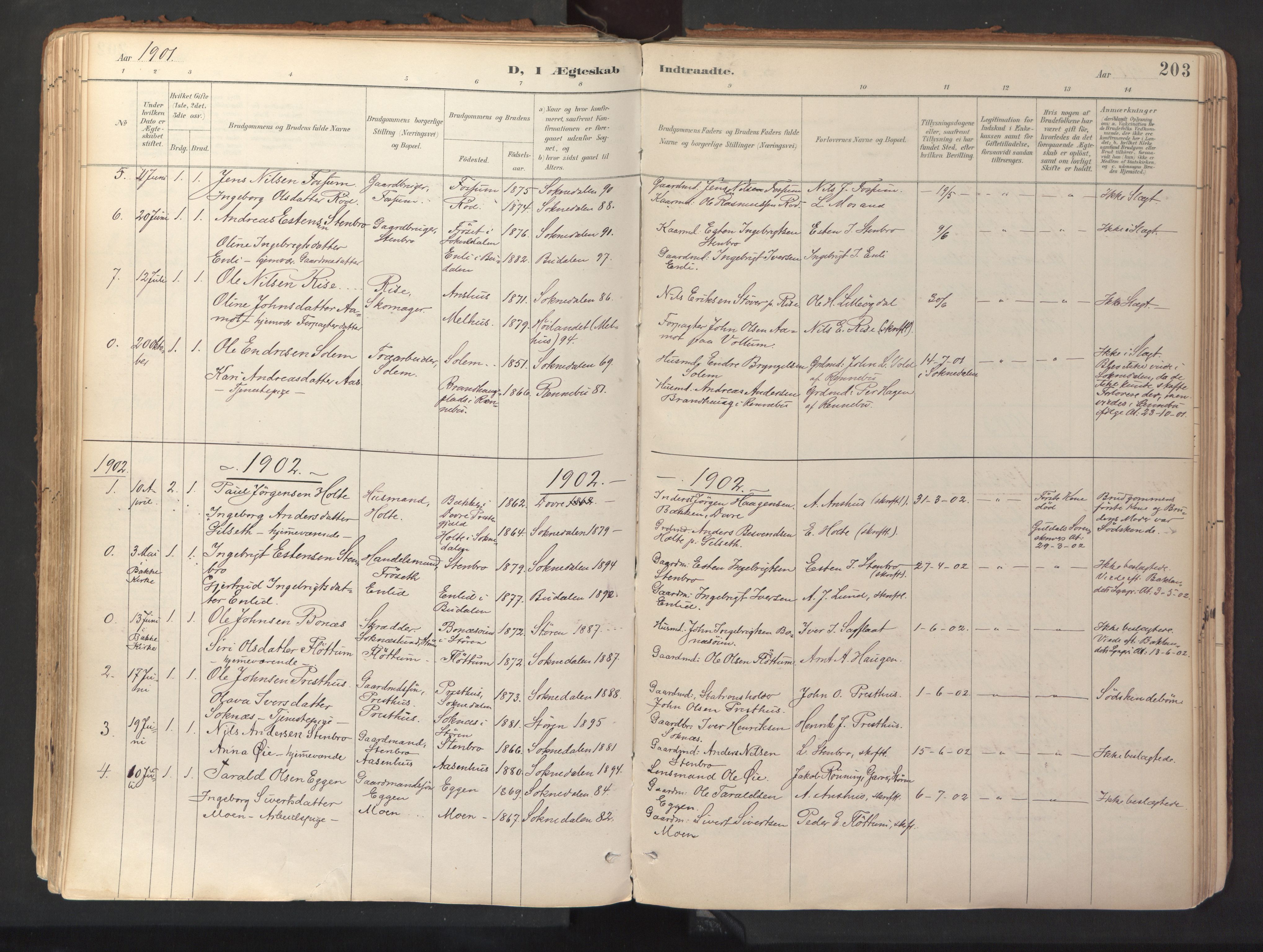 Ministerialprotokoller, klokkerbøker og fødselsregistre - Sør-Trøndelag, SAT/A-1456/689/L1041: Parish register (official) no. 689A06, 1891-1923, p. 203