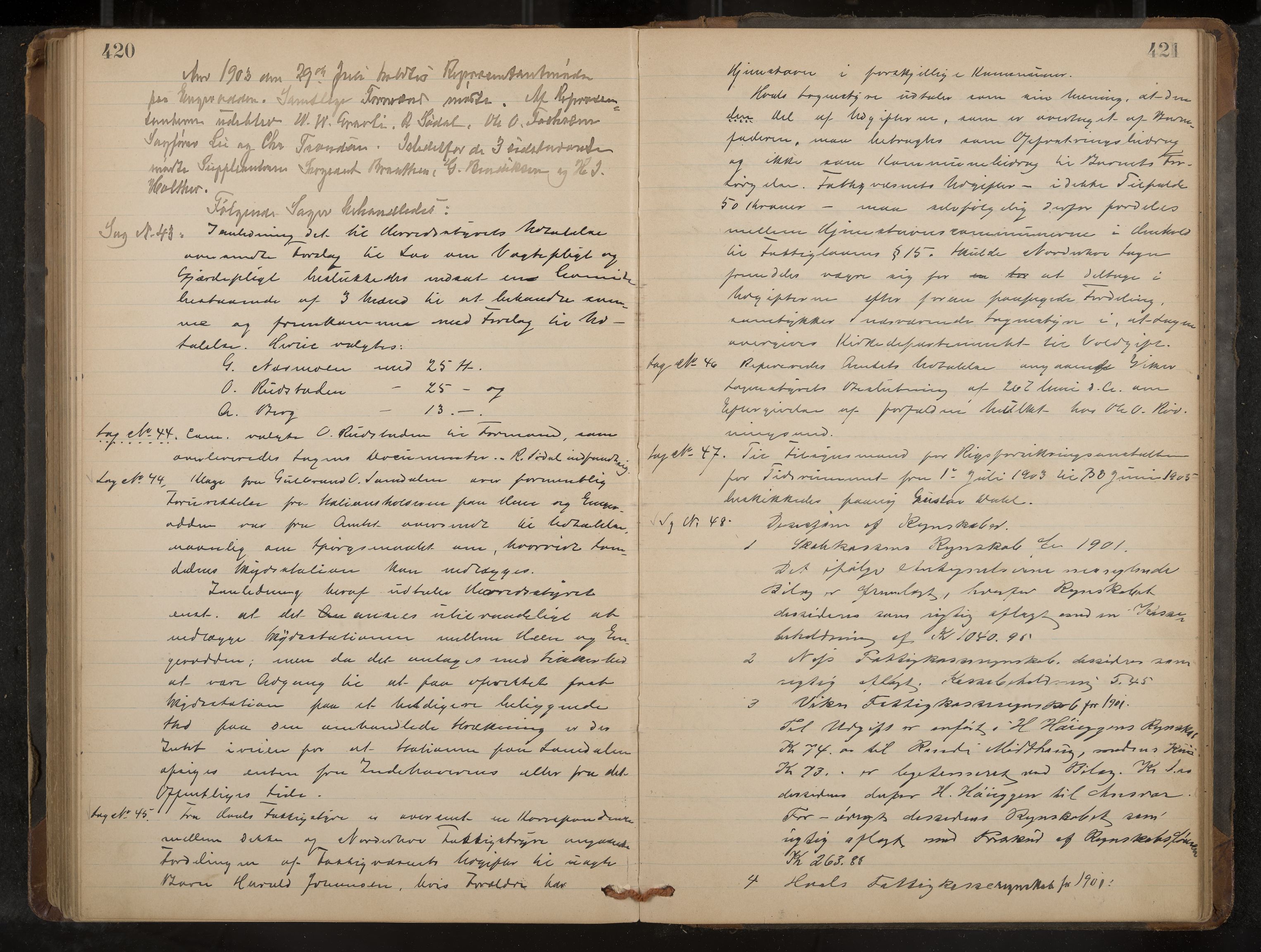 Ådal formannskap og sentraladministrasjon, IKAK/0614021/A/Aa/L0002: Møtebok, 1891-1907, p. 420-421